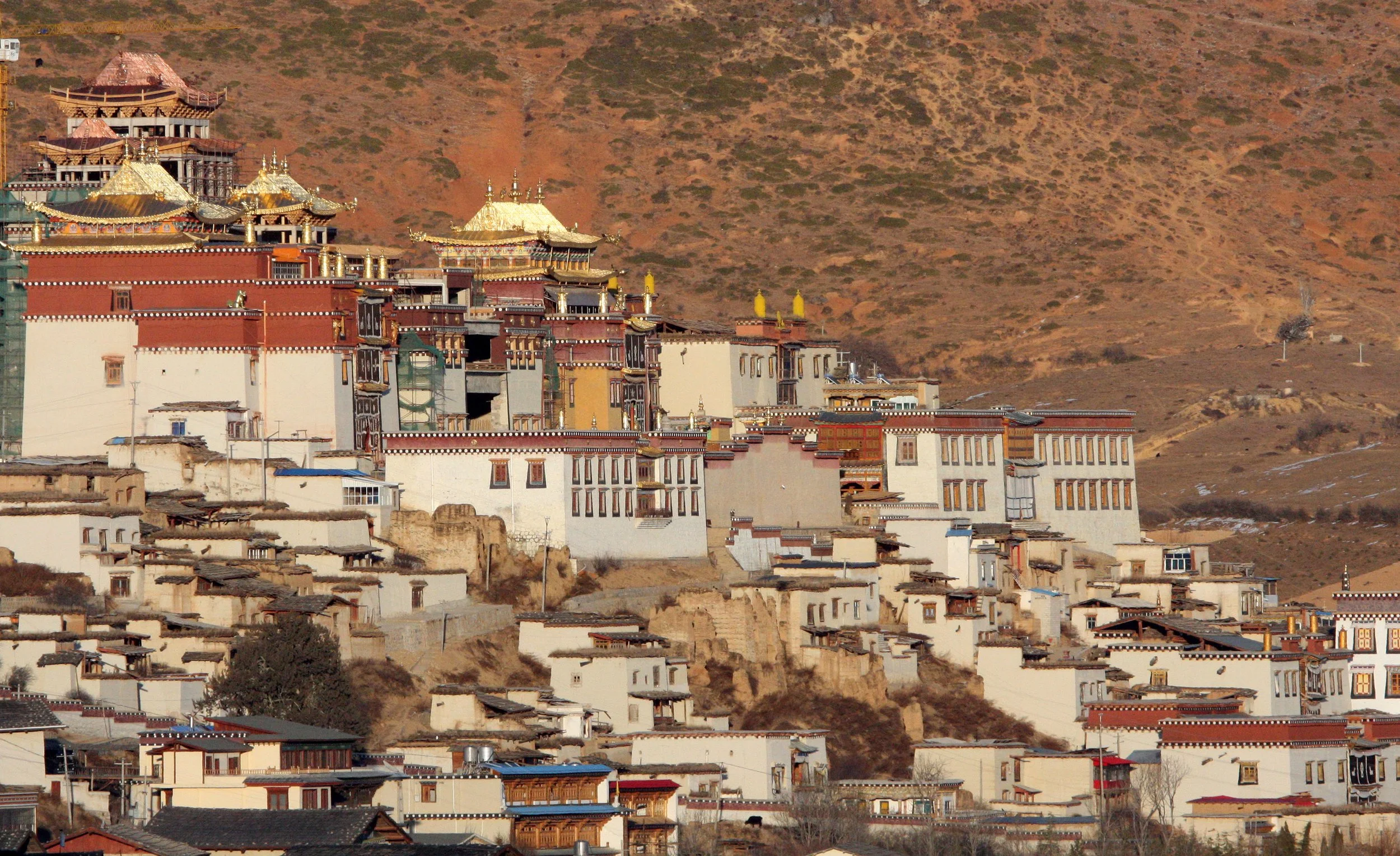 YUNNAN - SHANGRI LA - SONGZHANLIN TEMPLE (5).JPG