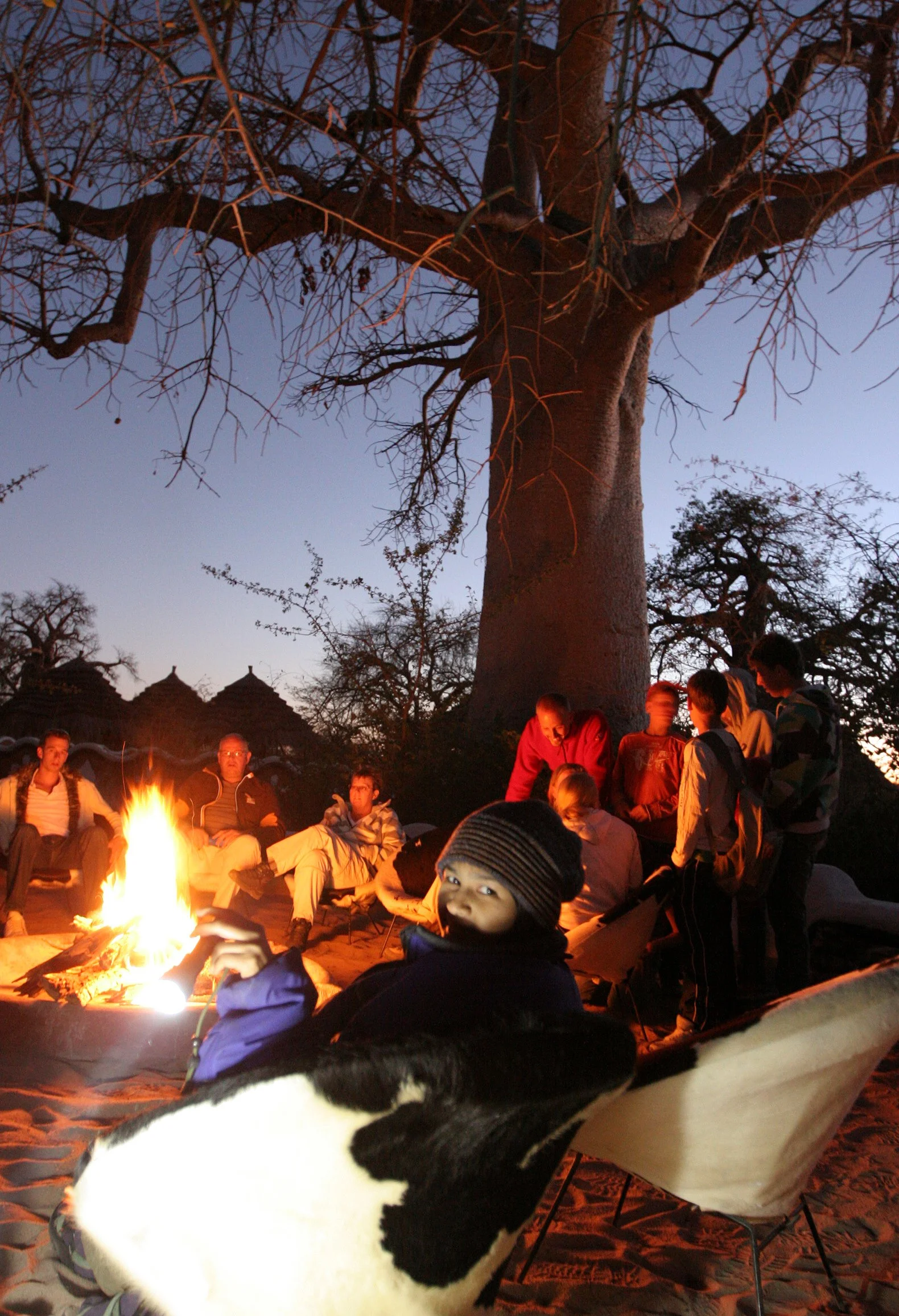 BOTSWANA - DESERT PLANET BAOBAB BOTSWANA (6).JPG