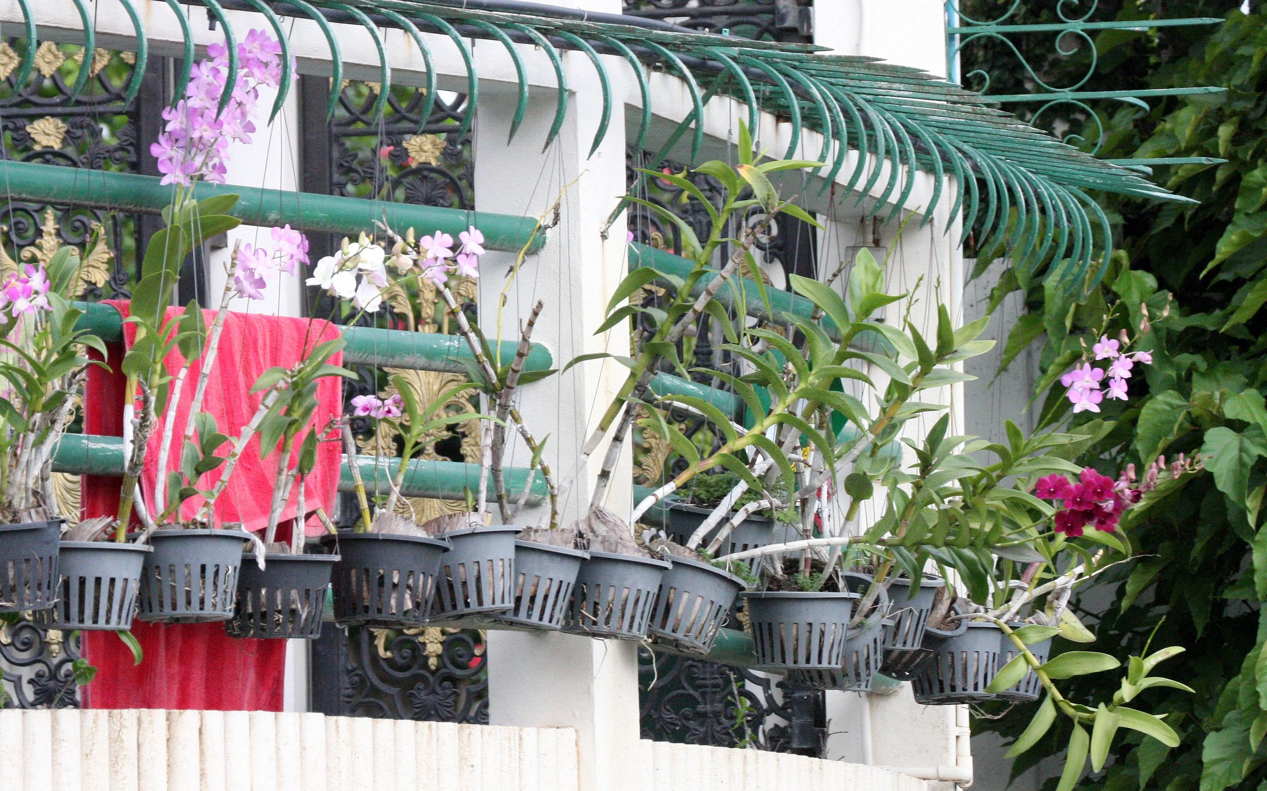 2008 Bangkok Scenes & Thonburi Canals (29).JPG
