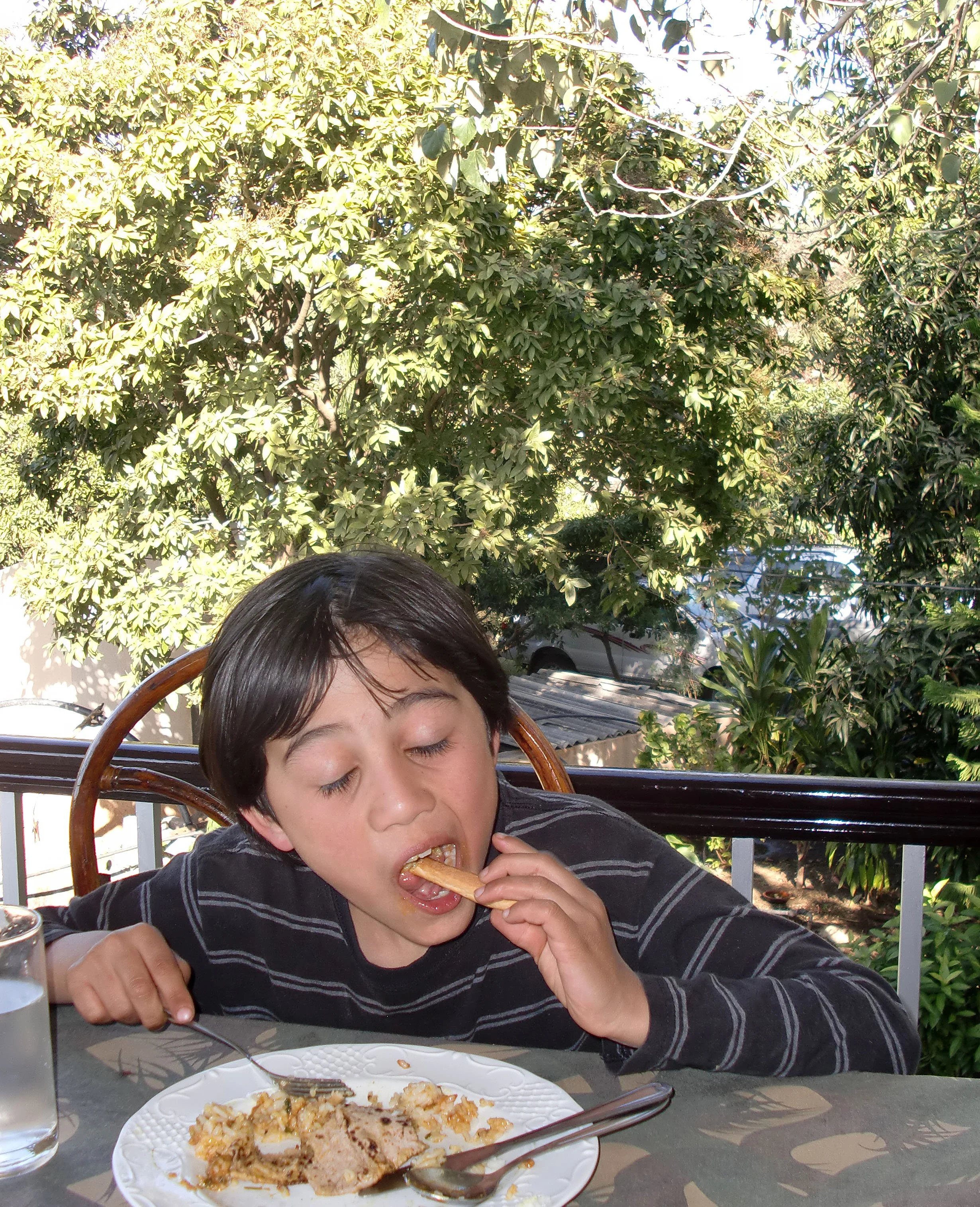 GUJARAT - GIR FOREST NATIONAL PARK INDIA (8).JPG