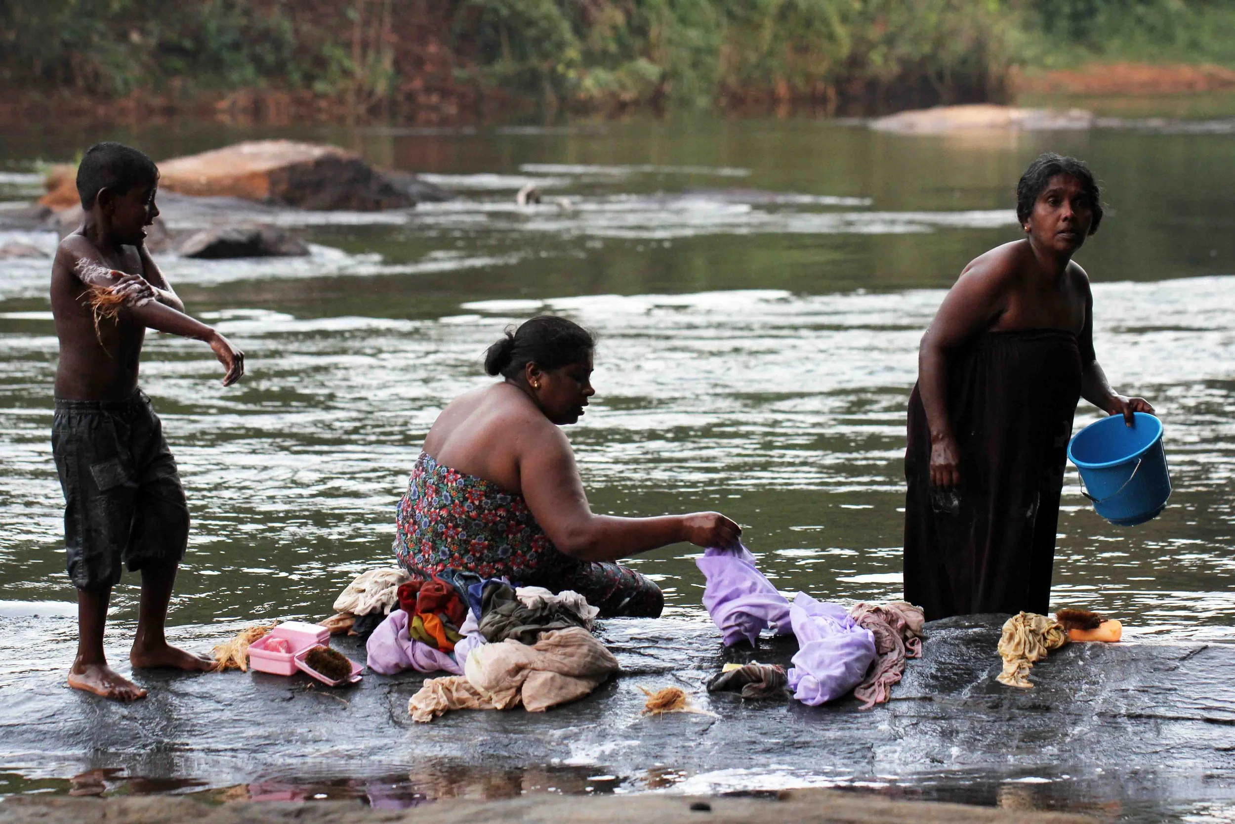KITULGALA FOREST PRESERVE, SRI LANKA (13).JPG