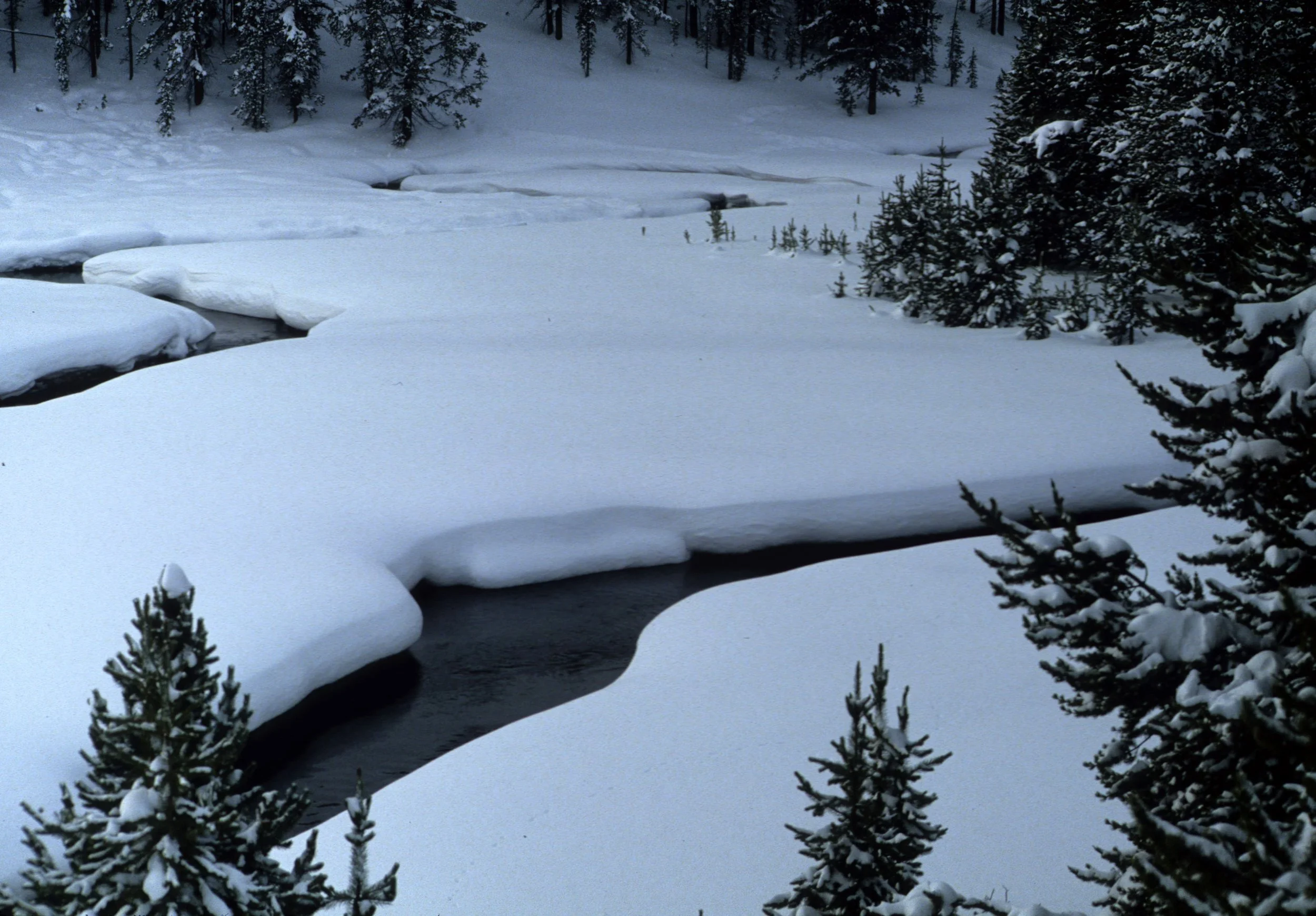 YELLOWSTONE IN WINTER A.jpg