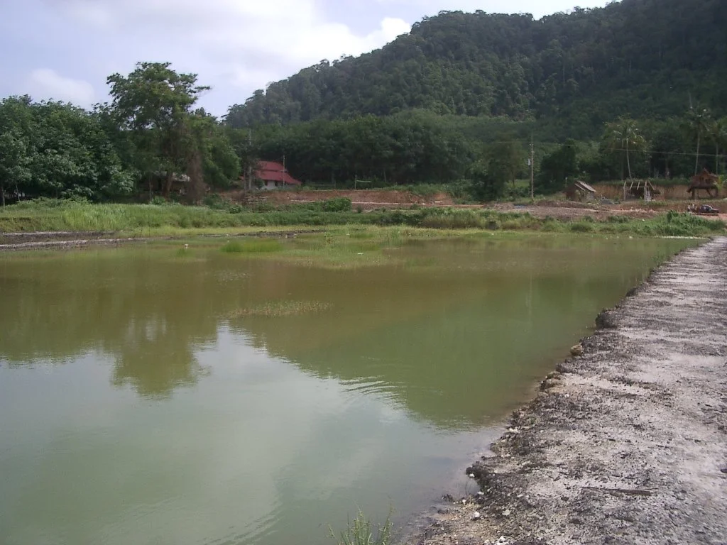 KOH LANTA - SEARCH FOR PROPERTY - 2004 (6).JPG