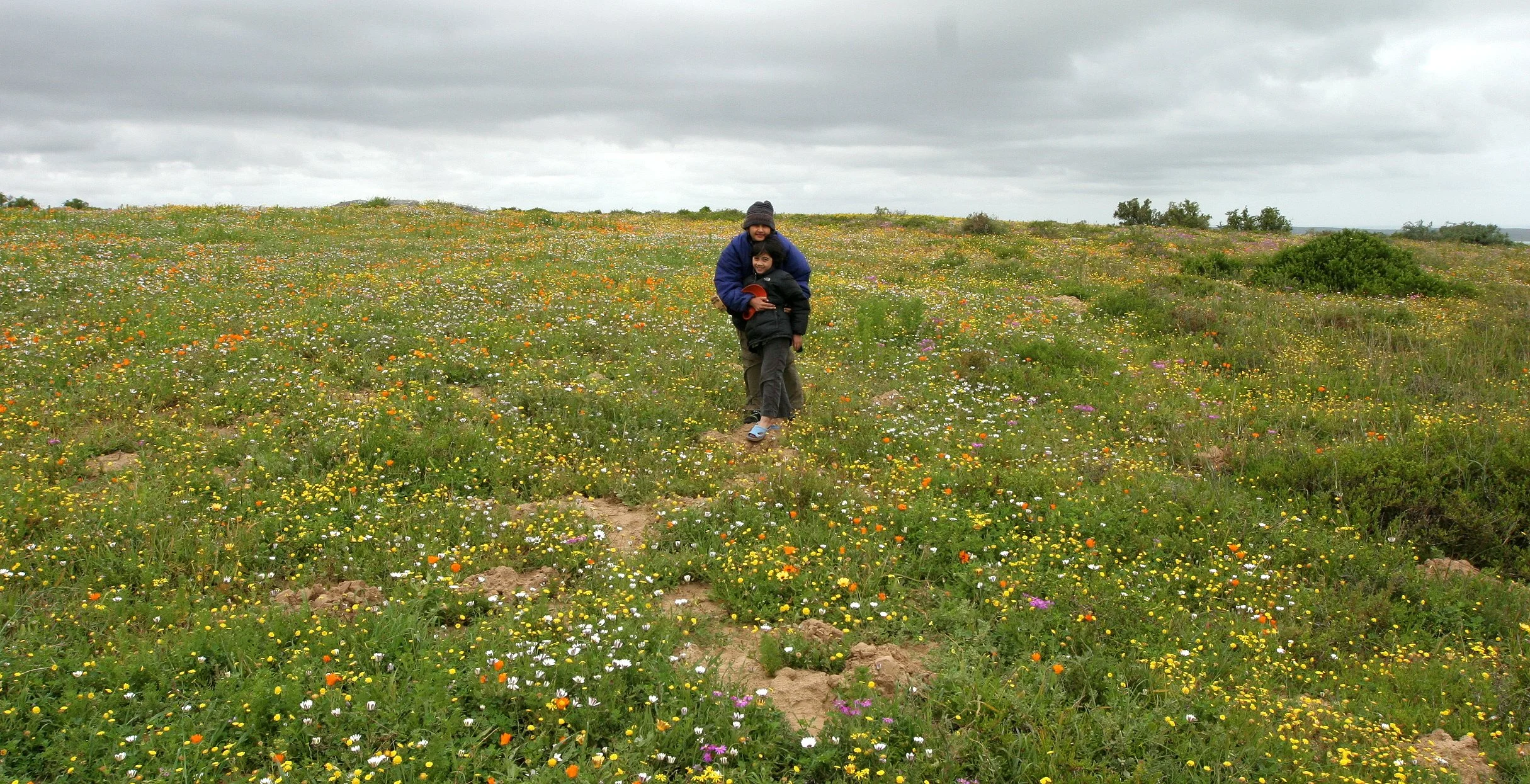 WEST COAST NATIONAL PARK SOUTH AFRICA - VIEWS OF (2).JPG
