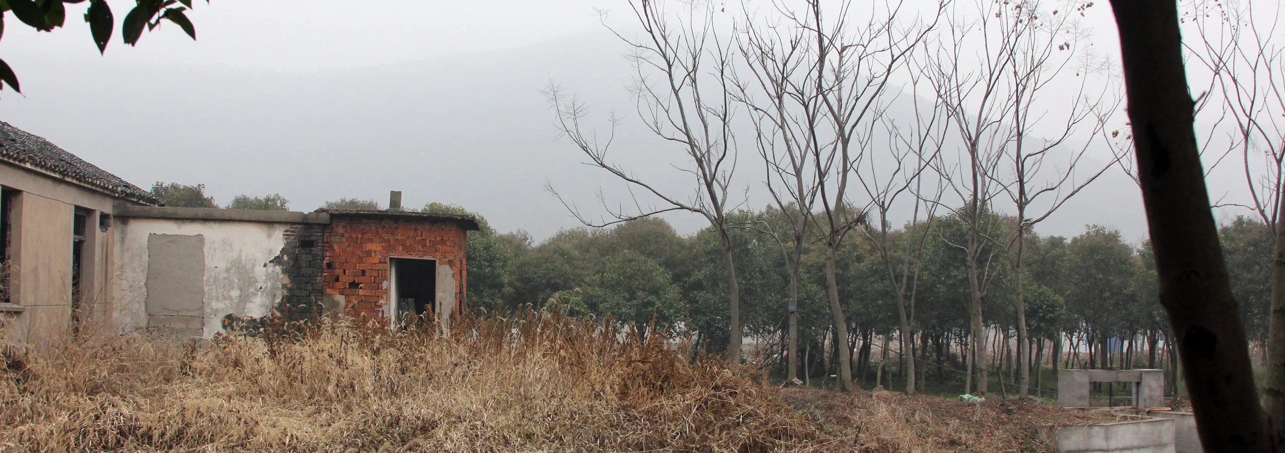 LAKE TAI JIANGSU PROVINCE - IB & APES FIELD TRIP TO LAKE TAI (62).JPG