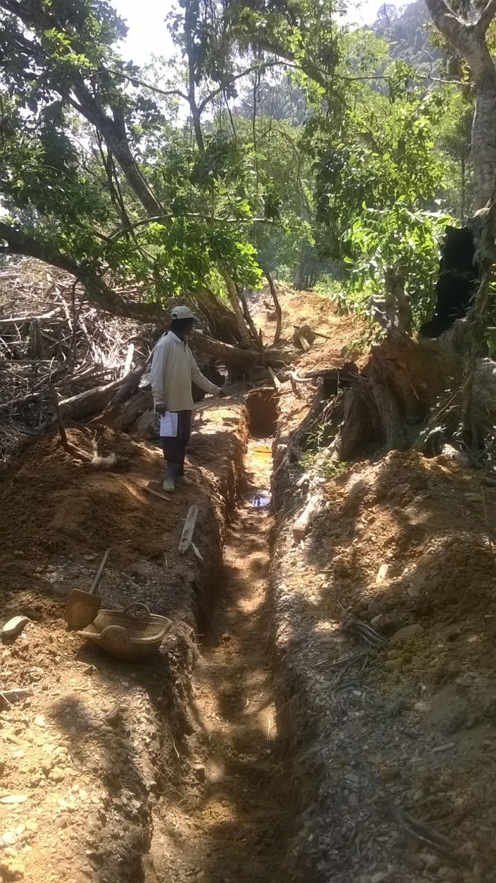 2015 Bangkok Misc Scenes (82).JPG