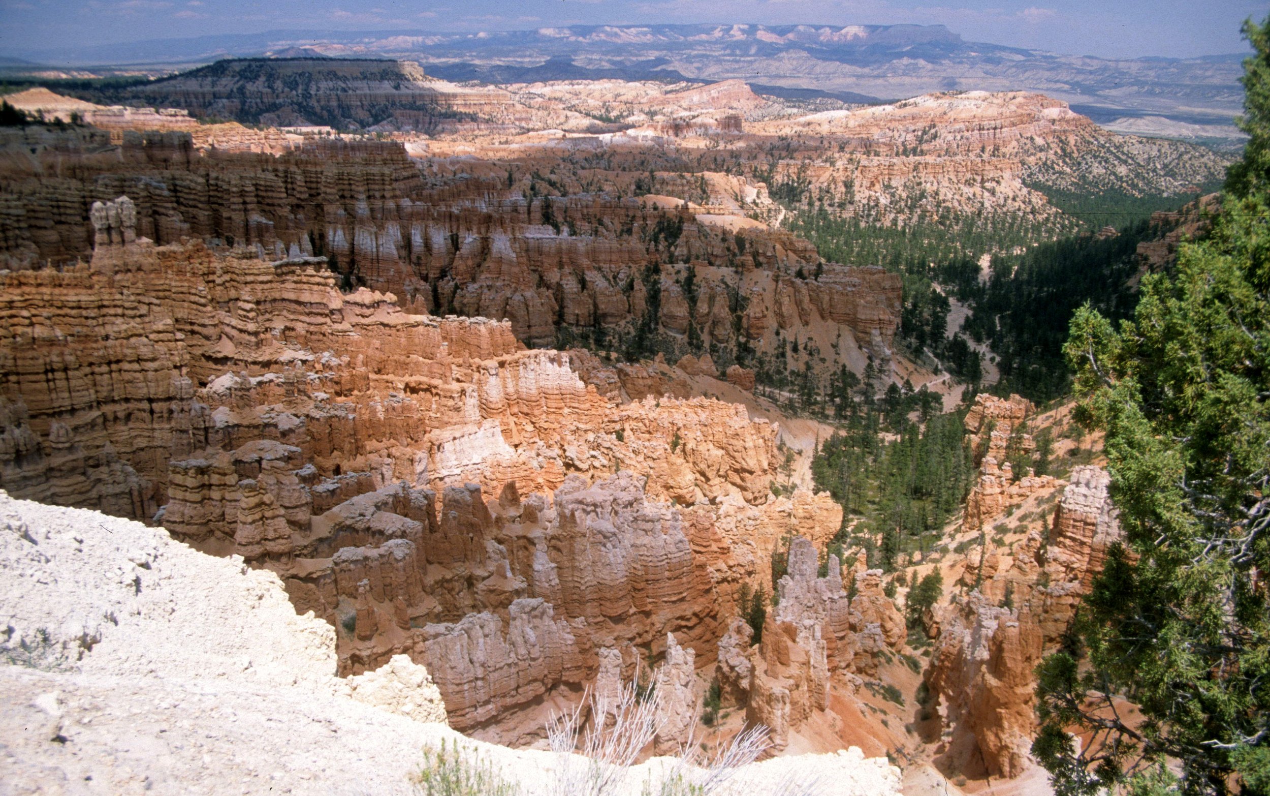 UTAH - BRYCE CANYON P.jpg