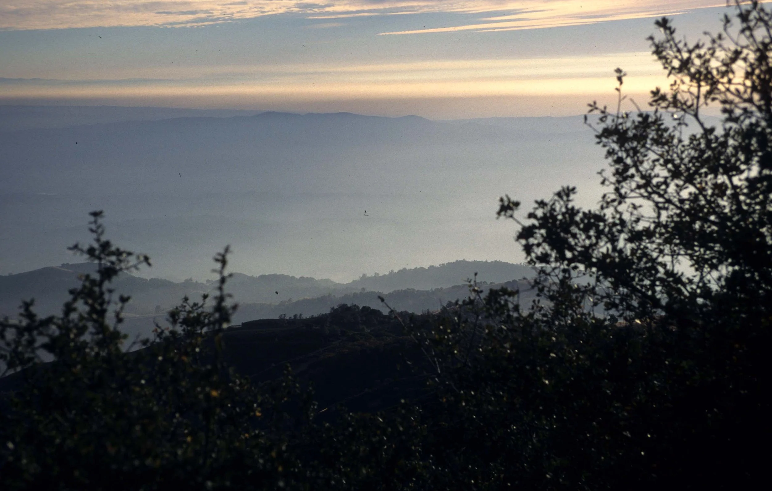 CALIFORNIA - MOUNT DIABLO VIEWS.jpg