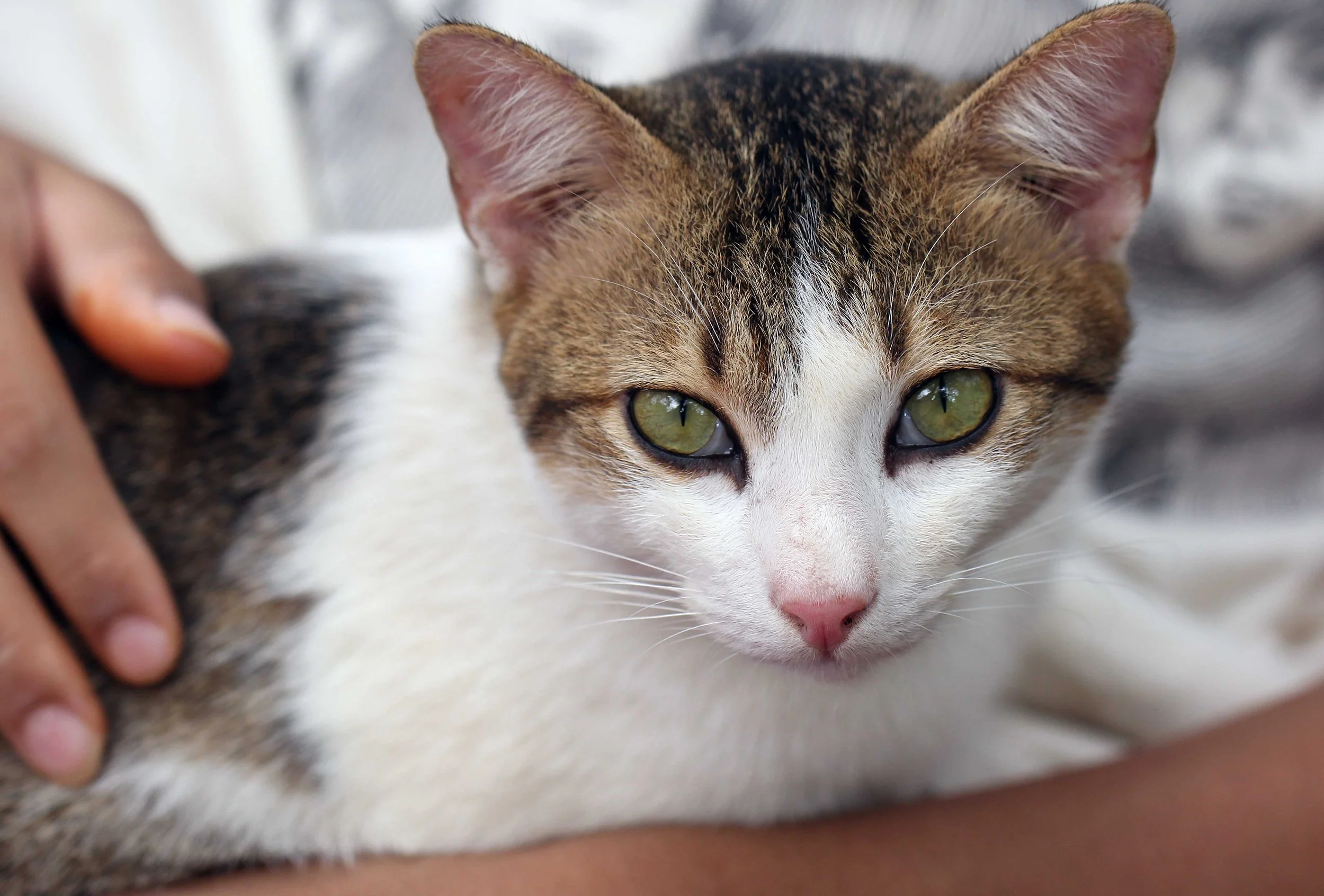 2015 Koh Lanta Songkran with friends from ISB (395).JPG