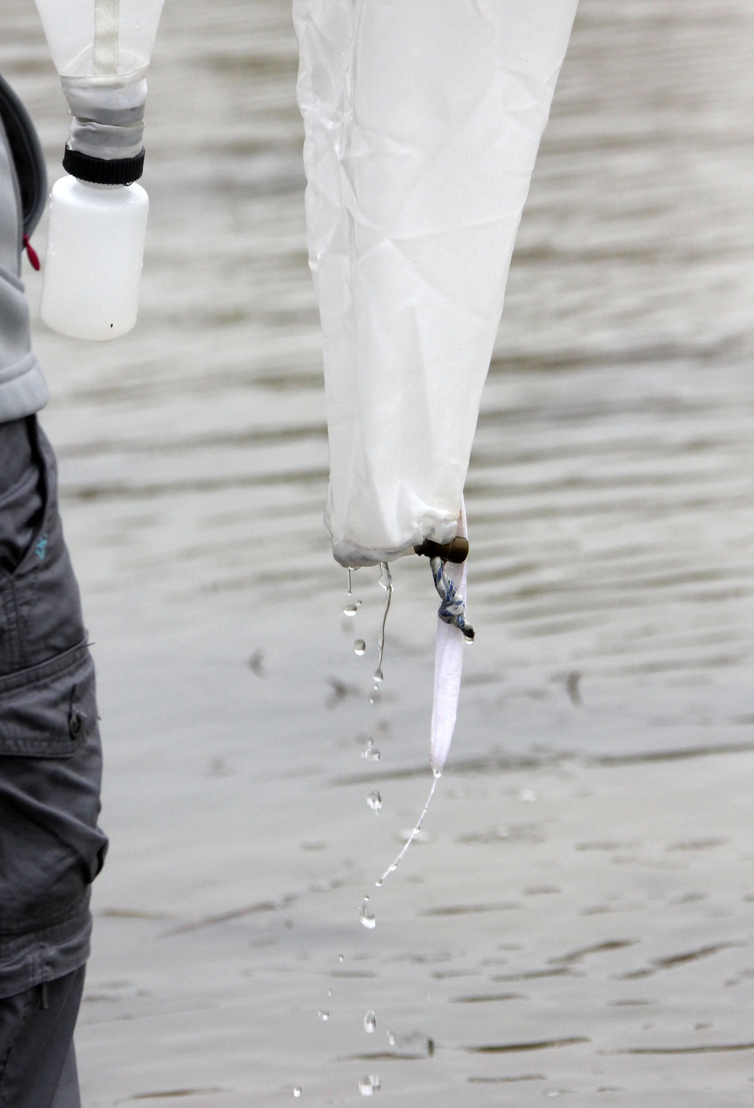 CHONGMING ISLAND DONGTAN WETLAND RESERVE CHINA - FIELD TRIP WITH IB AND APES 2012 11-16 (20).JPG