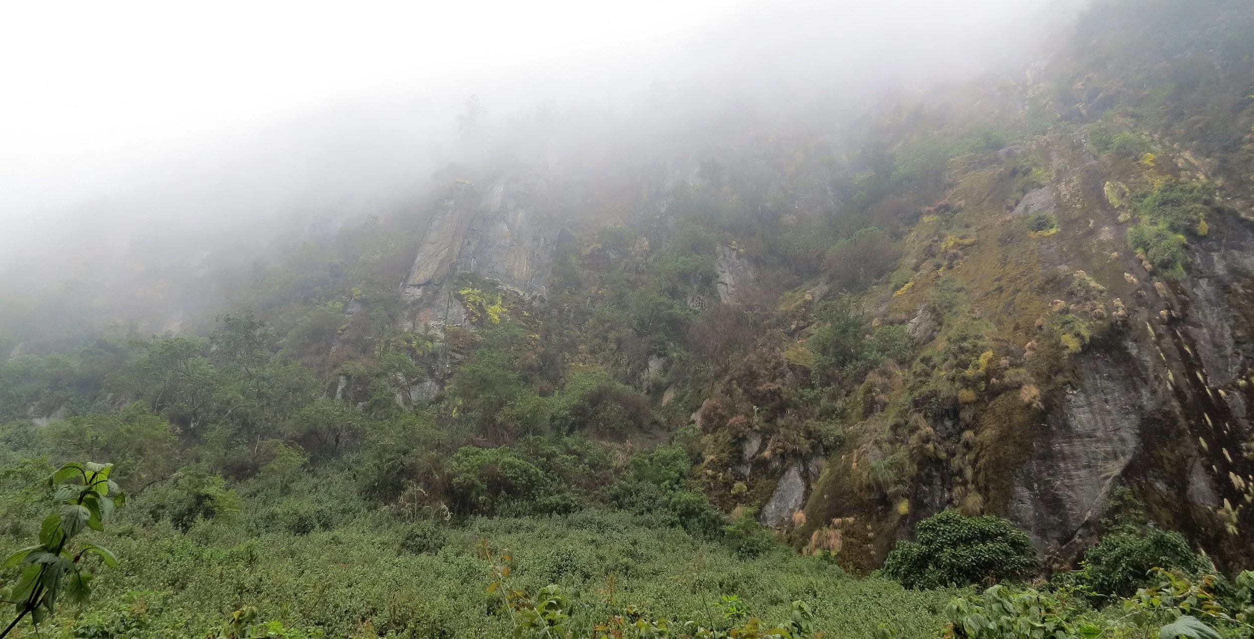 RWENZORI NATIONAL PARK UGANDA (113).JPG