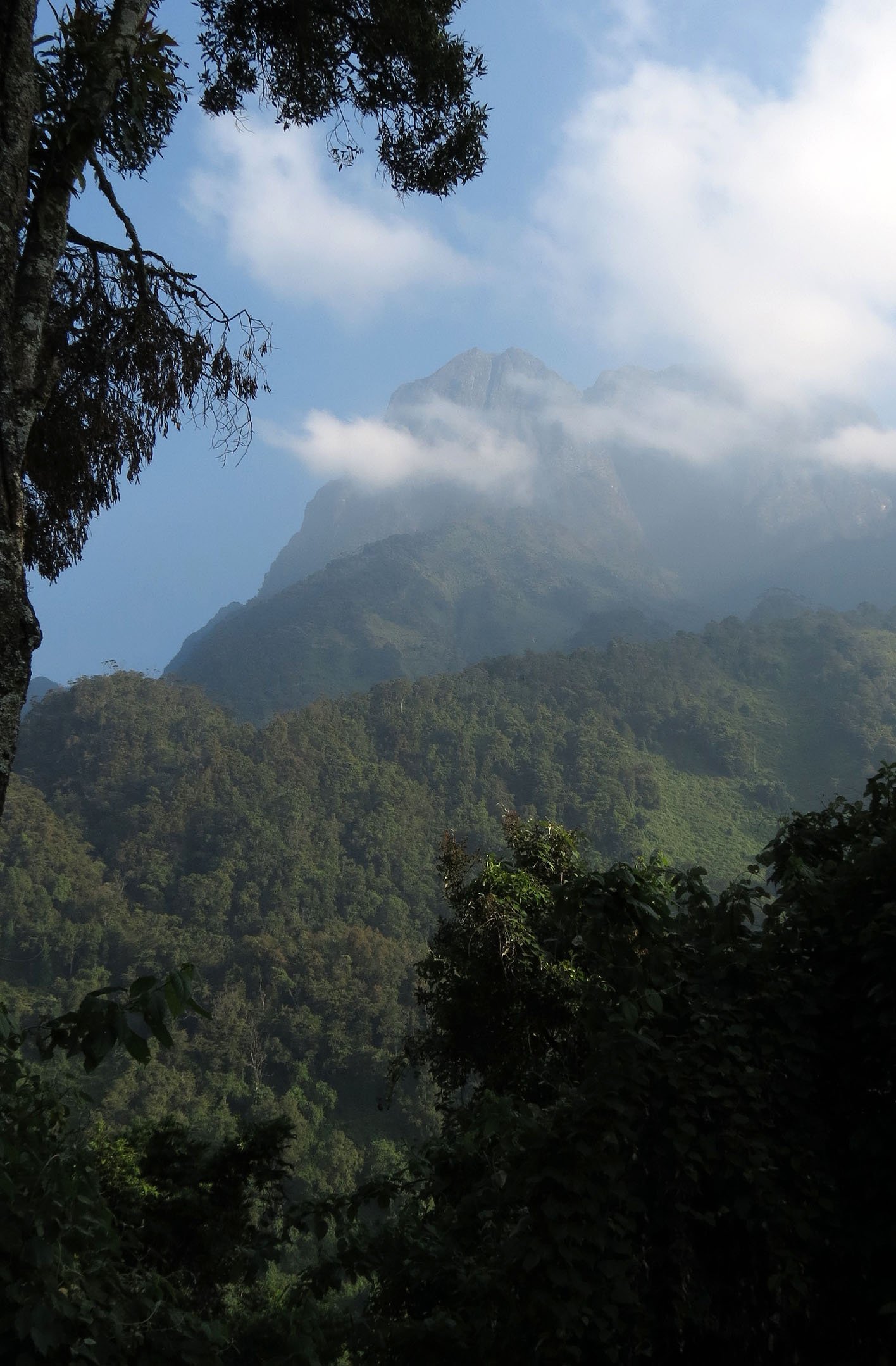 RWENZORI NATIONAL PARK UGANDA (75).JPG