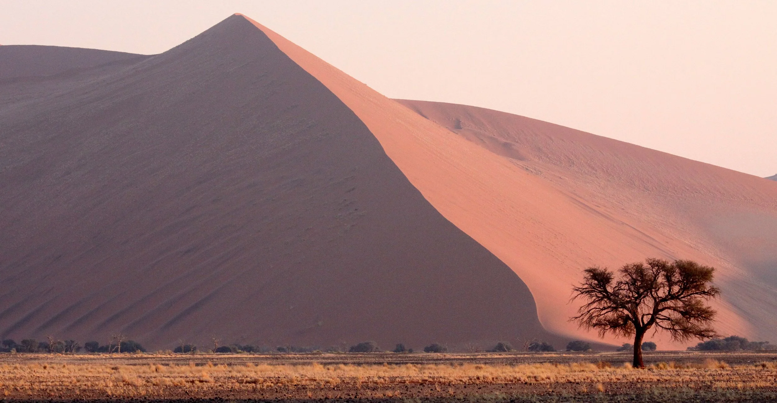 SOSSUSVLEI, NAMIB NAUKLUFT NATIONAL PARK, NAMIBIA - SUNRISE AT DUNE 45 (26).JPG