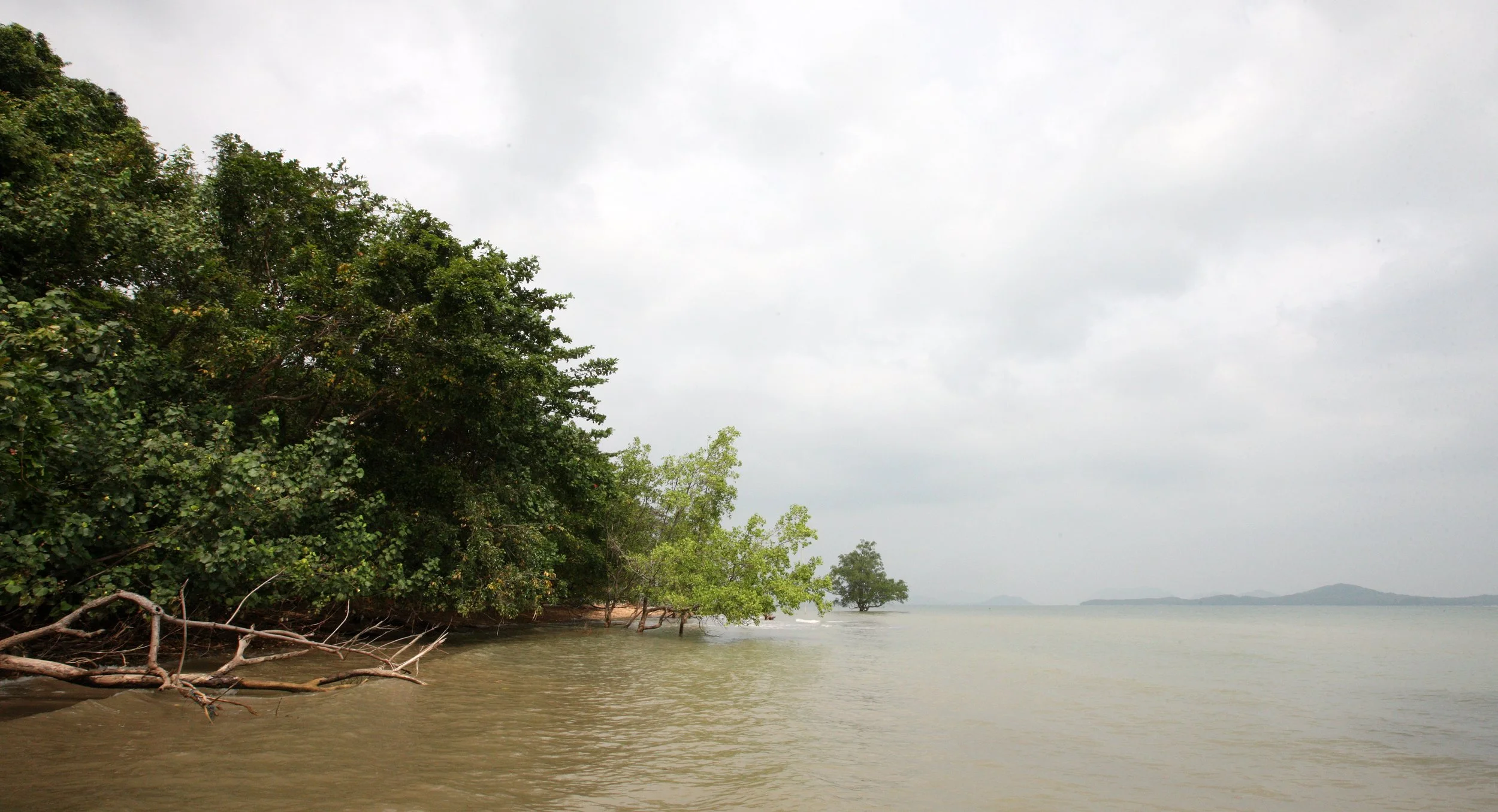 LANTA ISLAND - OUR PROPERTY - WINTER 2011 (35).JPG