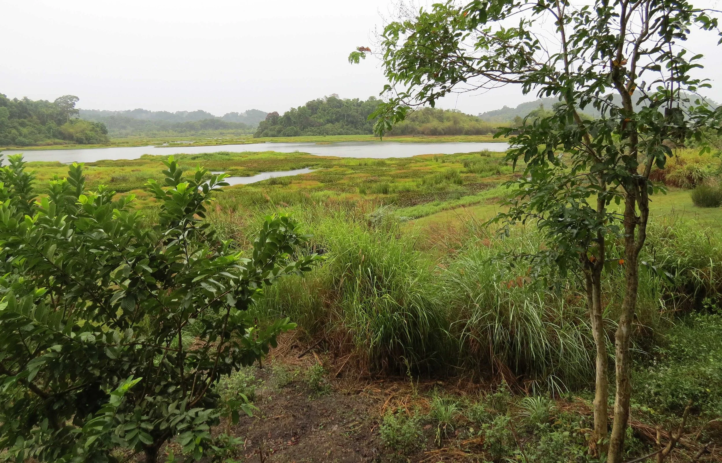CAT TIEN NATIONAL PARK VIET NAM (110).JPG