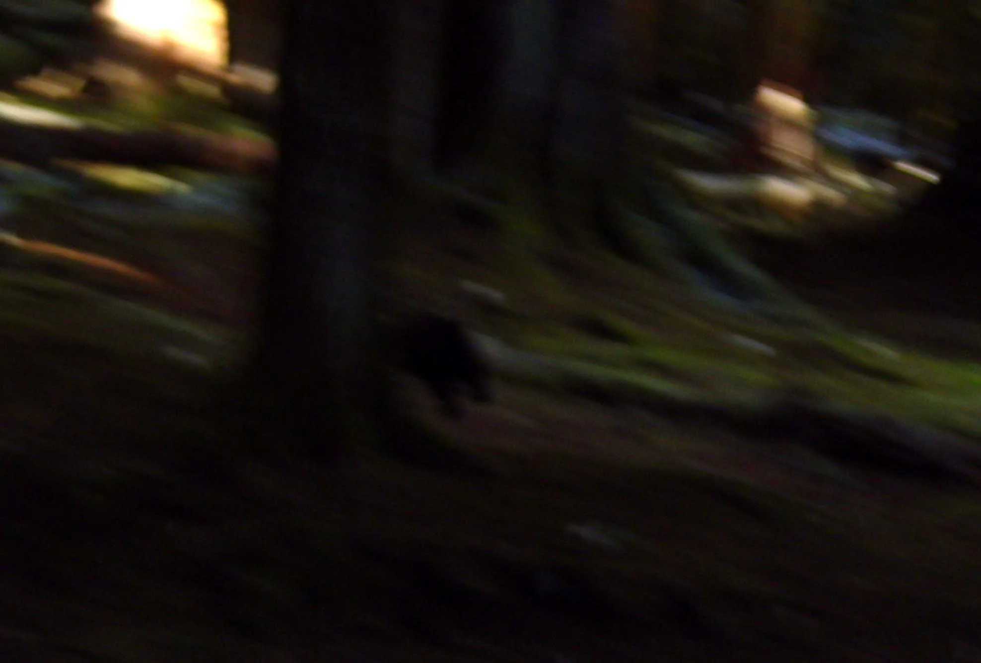 2009-12-20 - BEING GOOFY (15).JPG