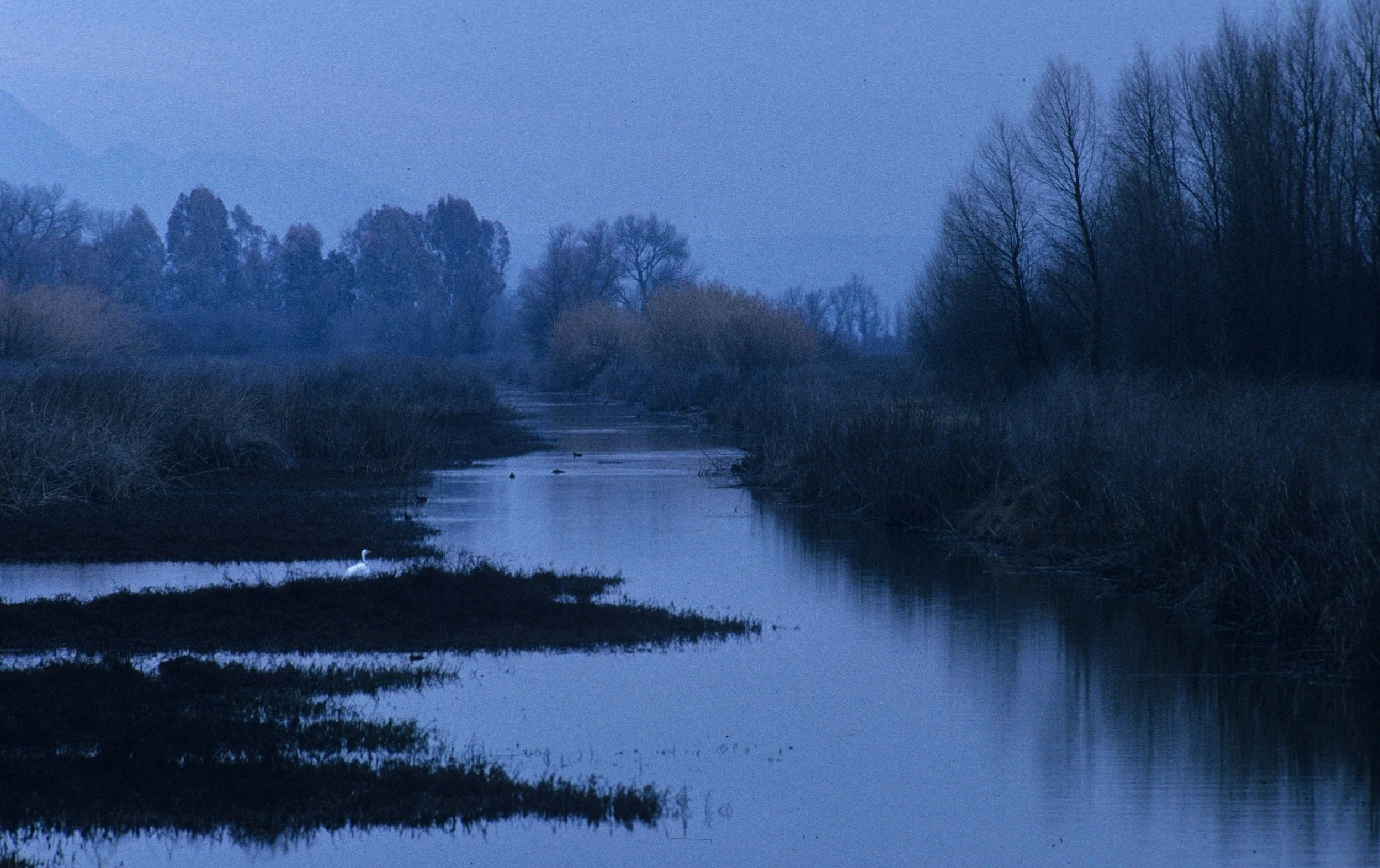 CALIFORNIA - GREY LODGE SACRAMENTO VALLEY A.jpg
