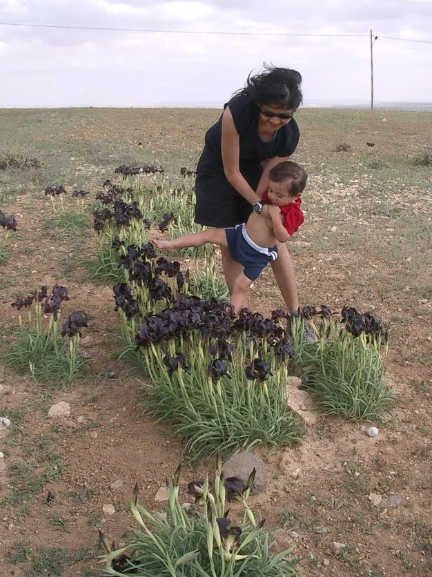 JORDAN - IRIS - BLACK IRIS (3).JPG