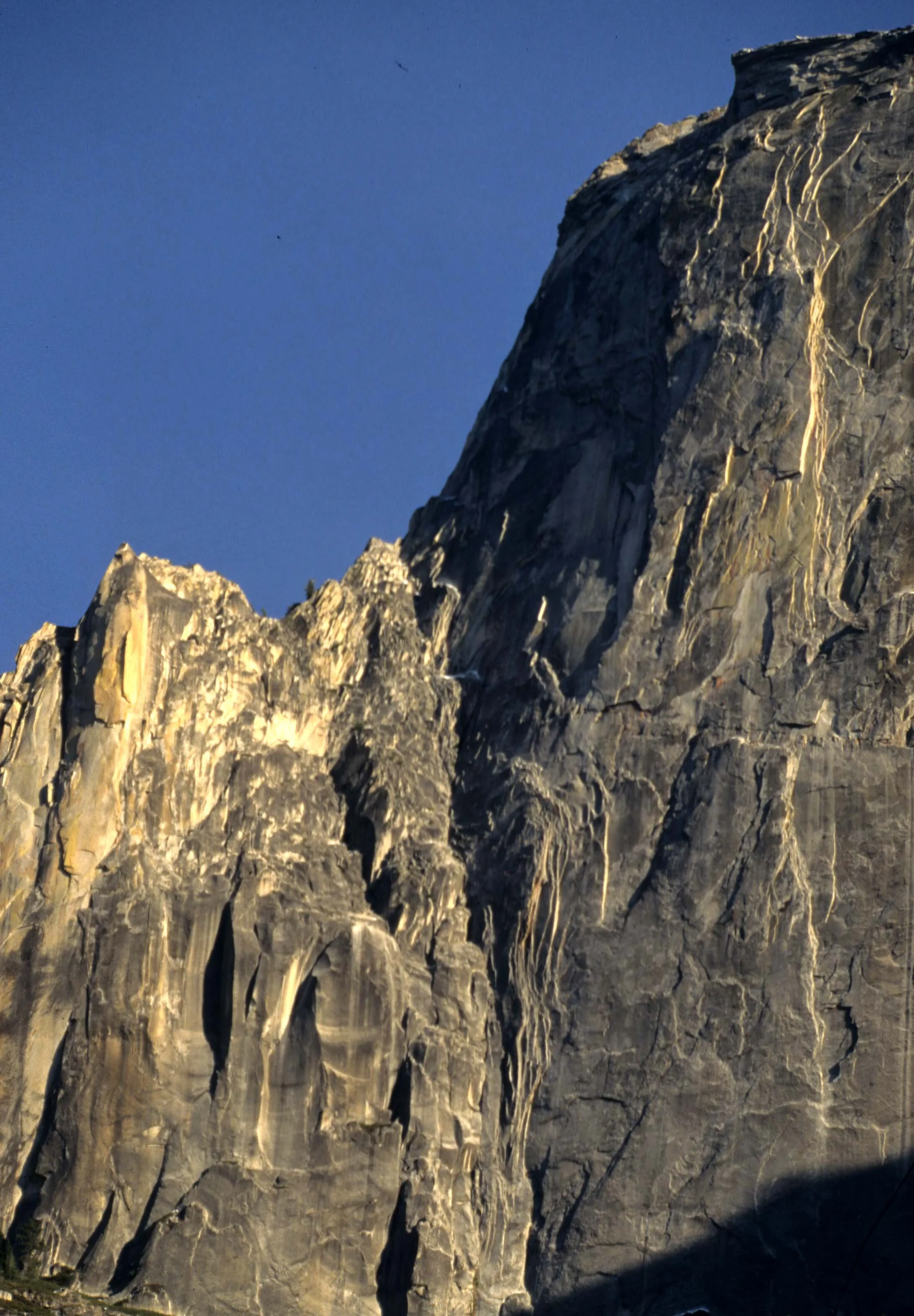 CALIFORNIA - YOSEMITE NATIONAL PARK (15).jpg