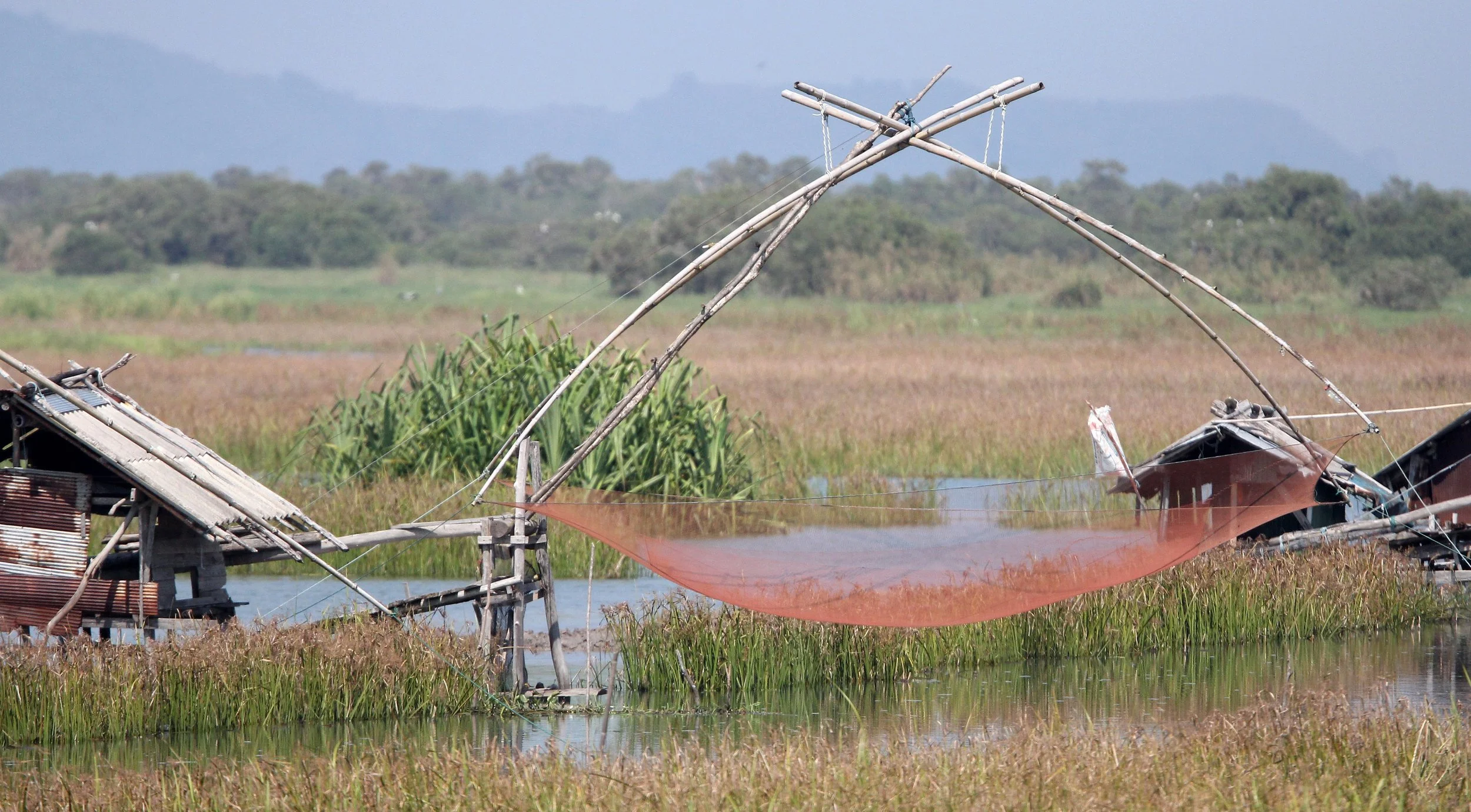 2018 Thale Noi Bird Sanctuary Patthalung (9).JPG