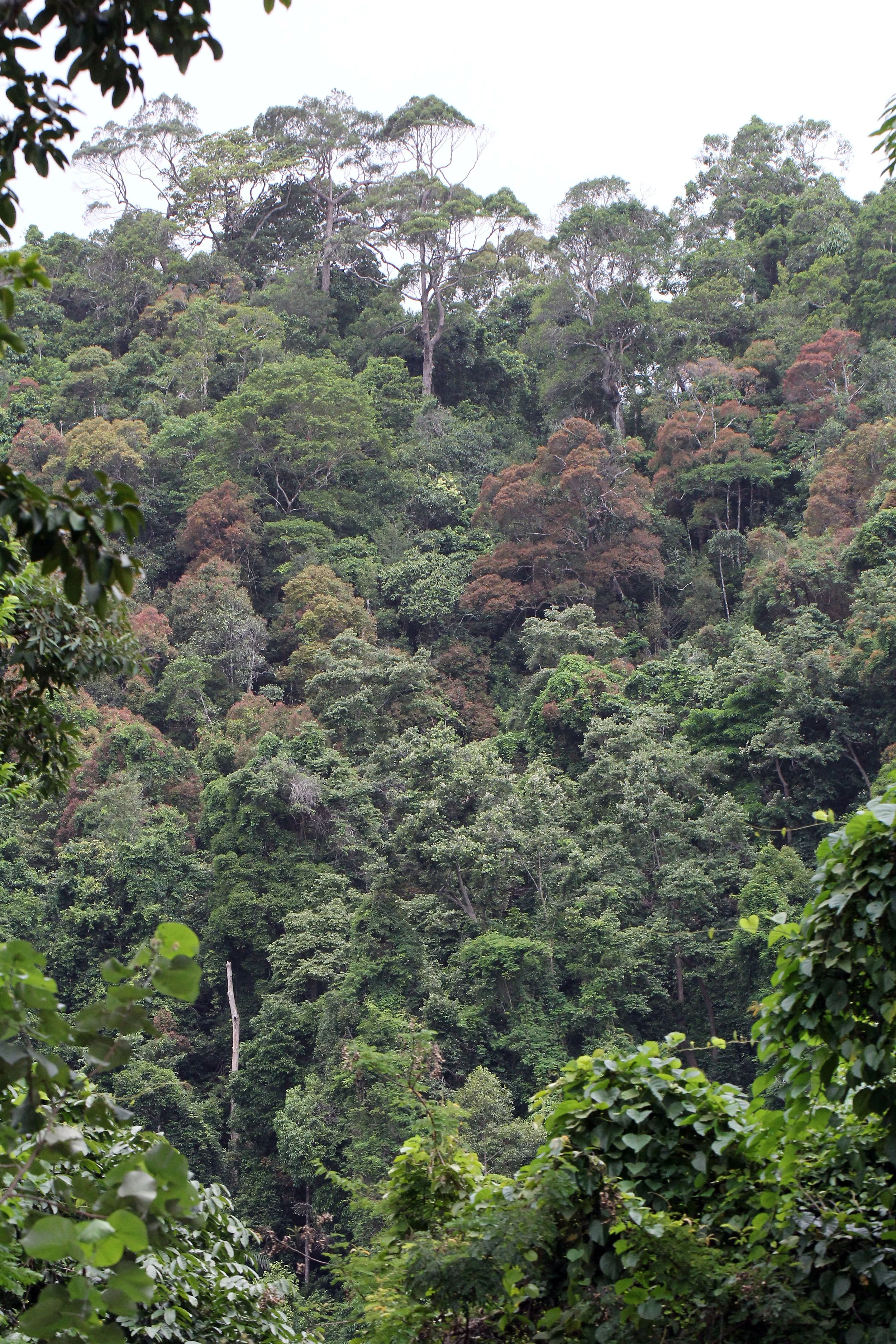 2016 Koh Lanta Summer Trip (457).JPG