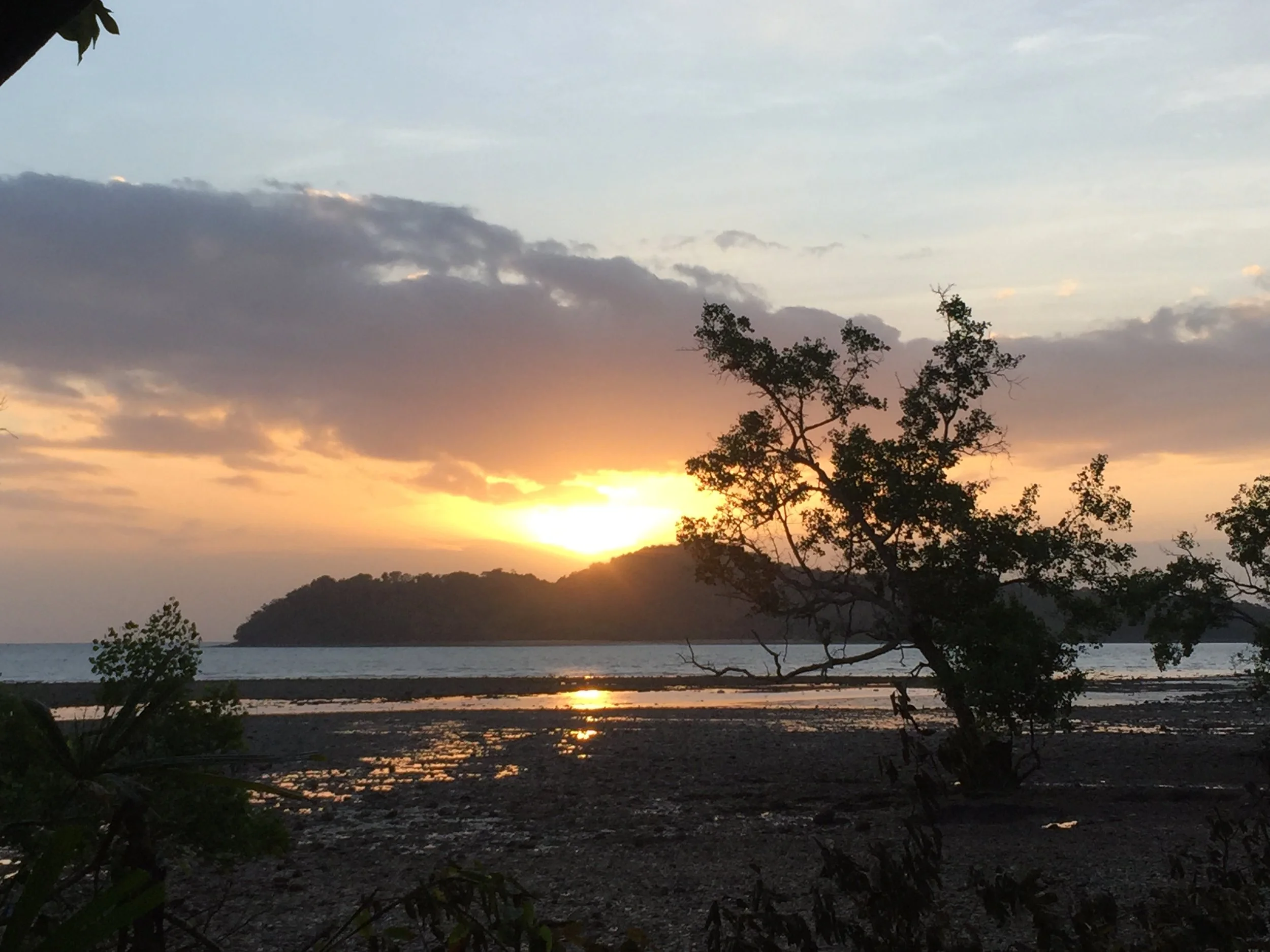 2015 Koh Lanta Garden & Nature (290).JPG