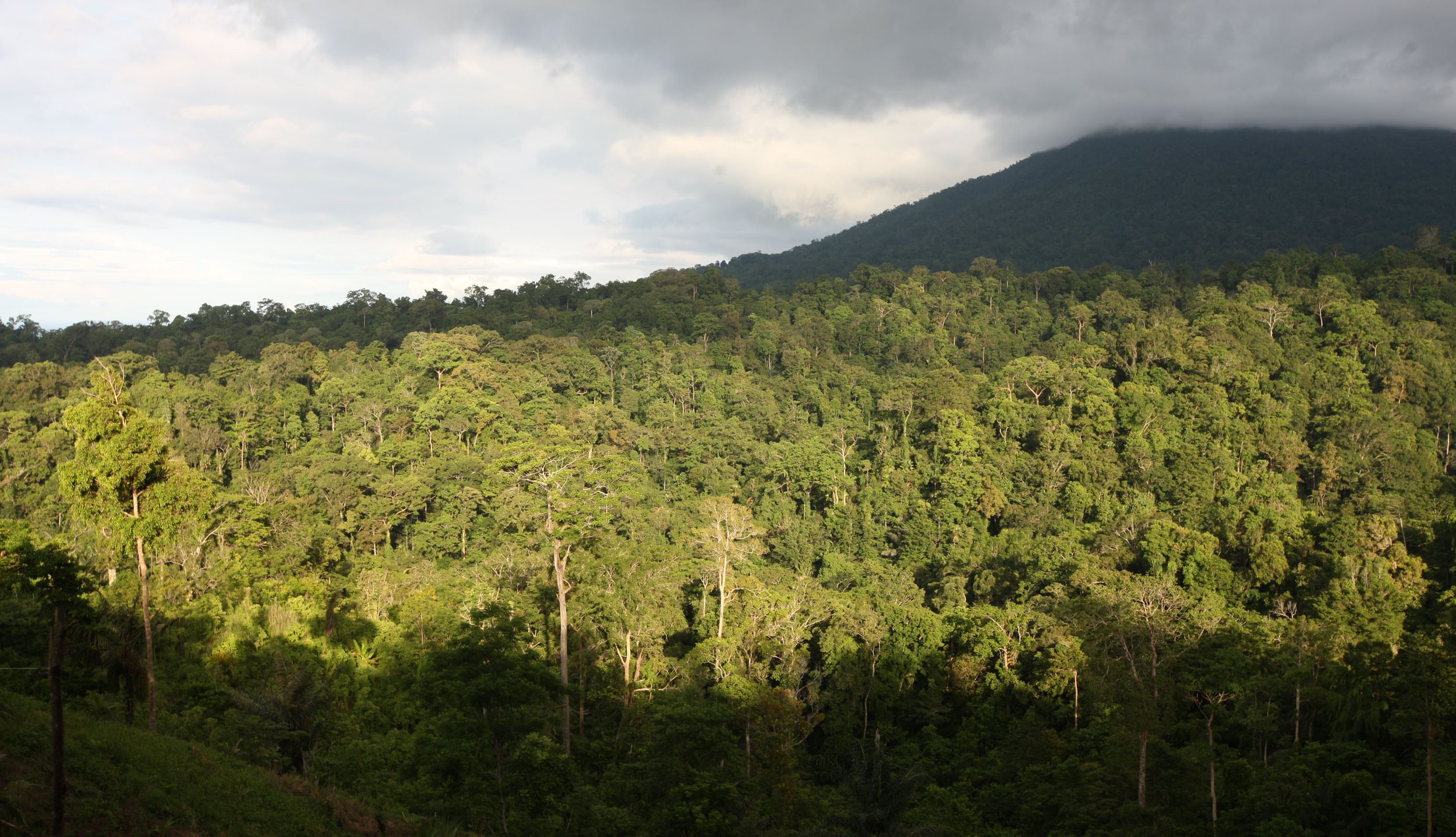 TANGKOKO LODGE - TANGKOKO NATIONAL PARK INDONESIA (37).JPG