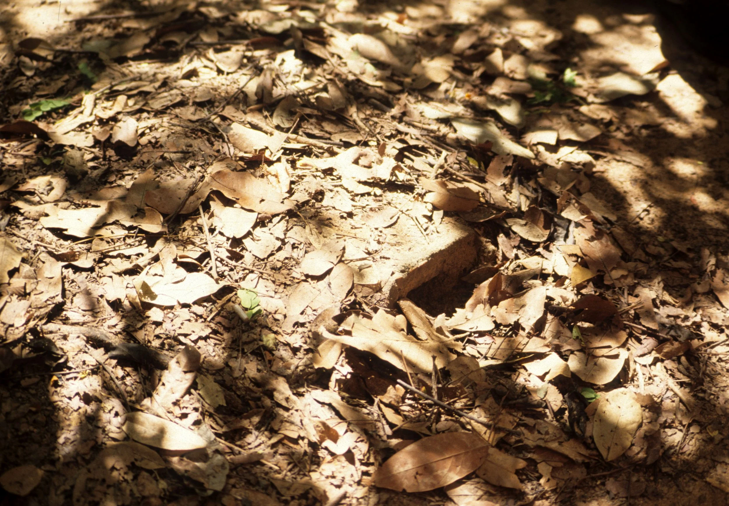 CU CHI TUNNELS (2).jpg