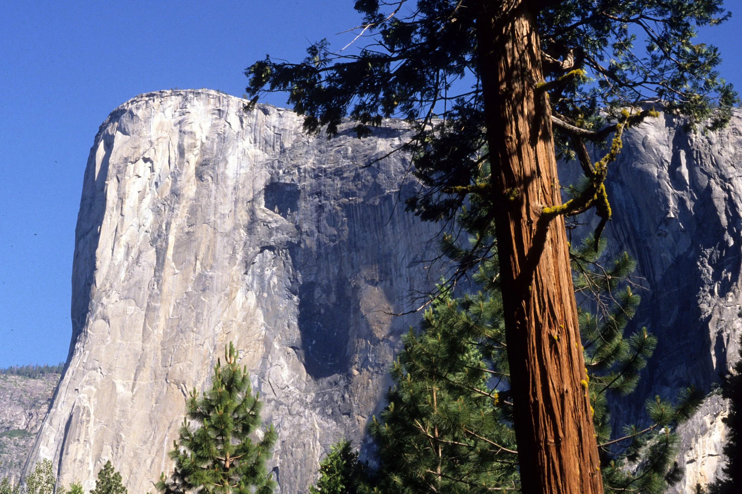 CALIFORNIA - YOSEMITE - EL CAPITAN C (2).jpg