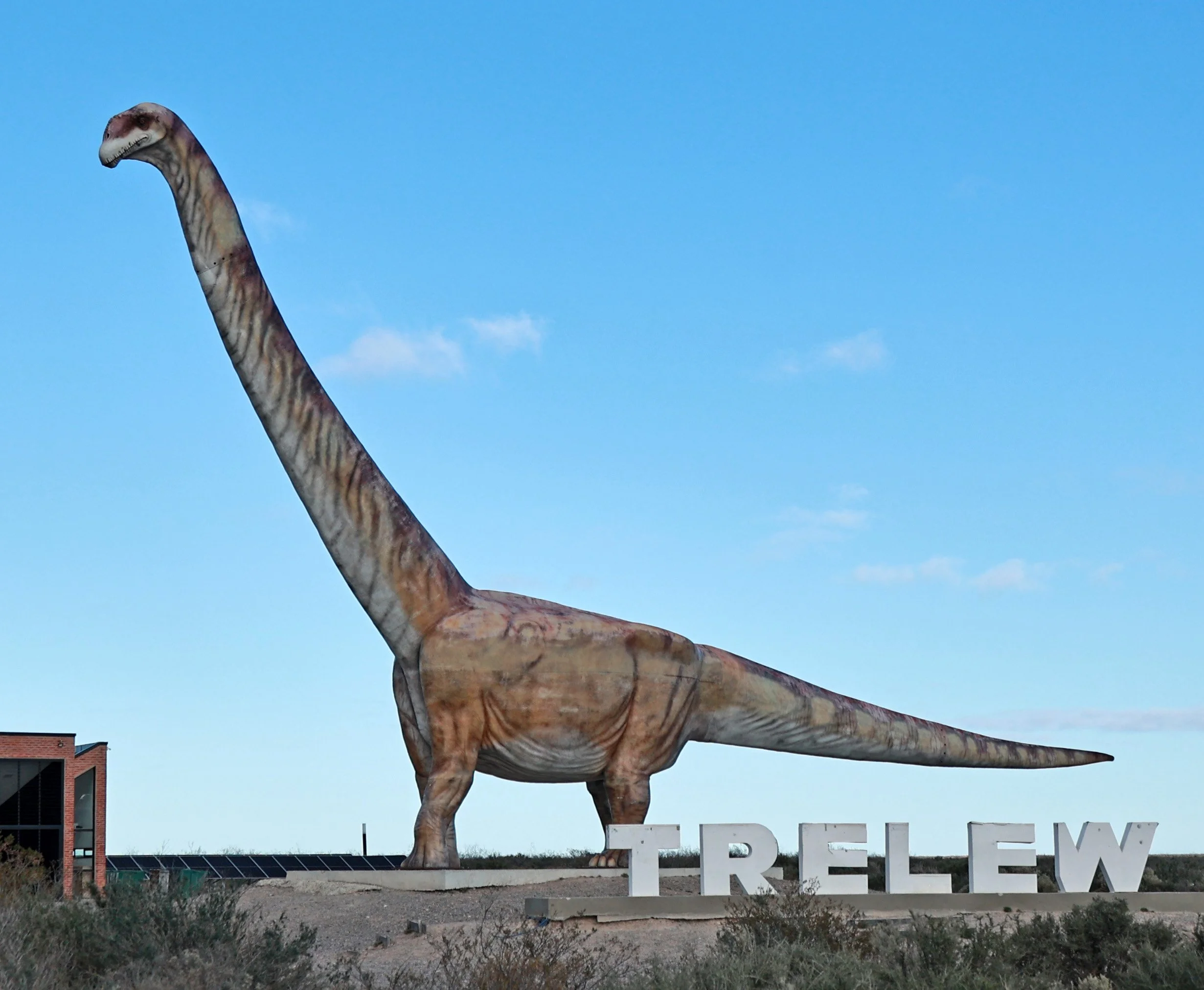 The Trelew region is known for being a dinosaur fossil hotspot.
