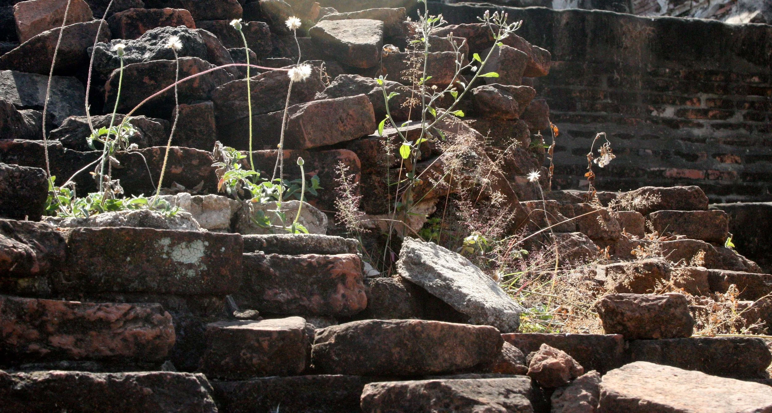 AYUDTHAYA - CHRISTMAS TRIP 2008 (39).JPG