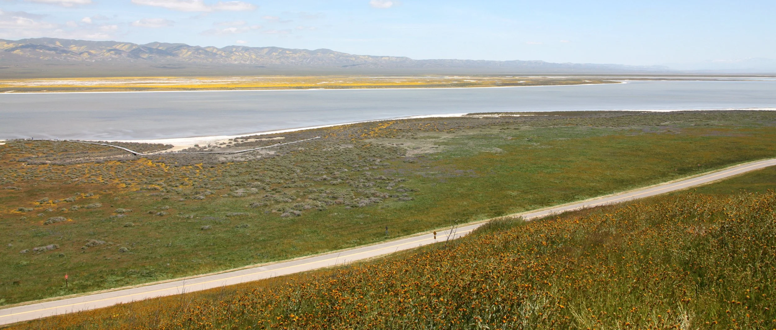 CARRIZO PLAIN NATIONAL MONUMENT - VIEWS OF THE REGION - ROADTRIP 2010 (5).JPG