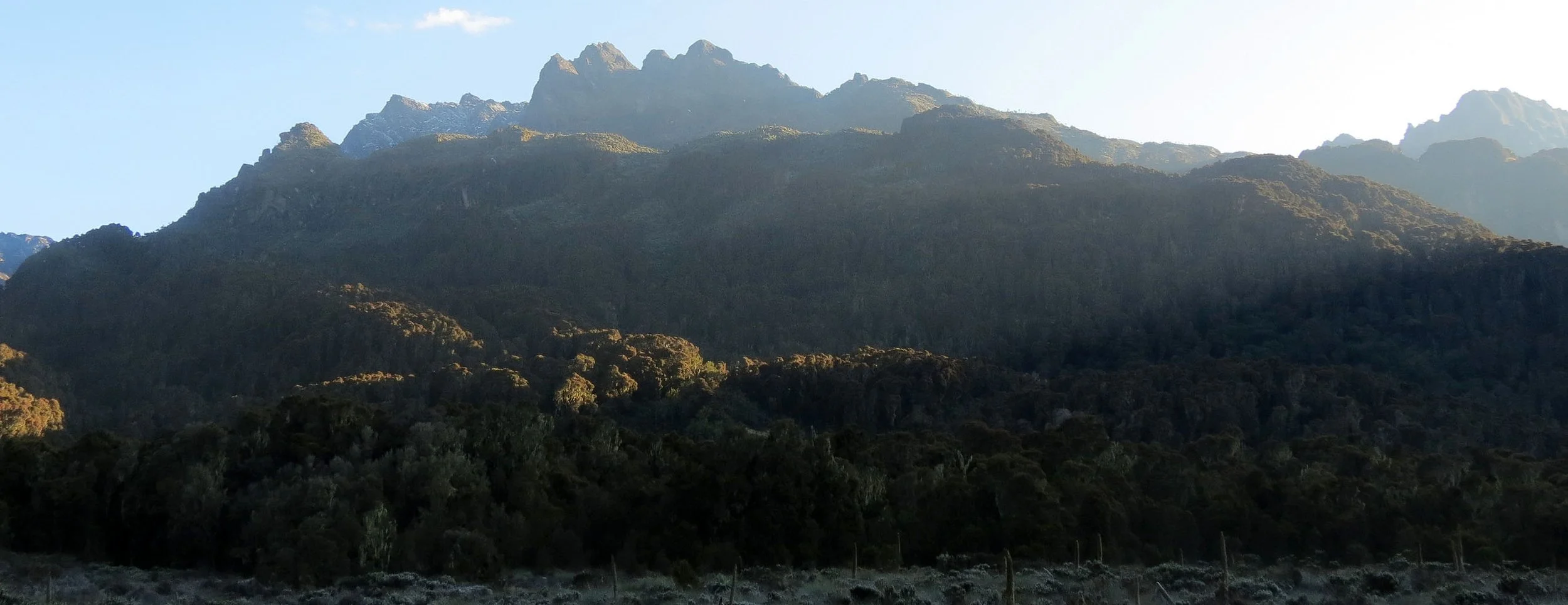 RWENZORI NATIONAL PARK UGANDA (241).JPG