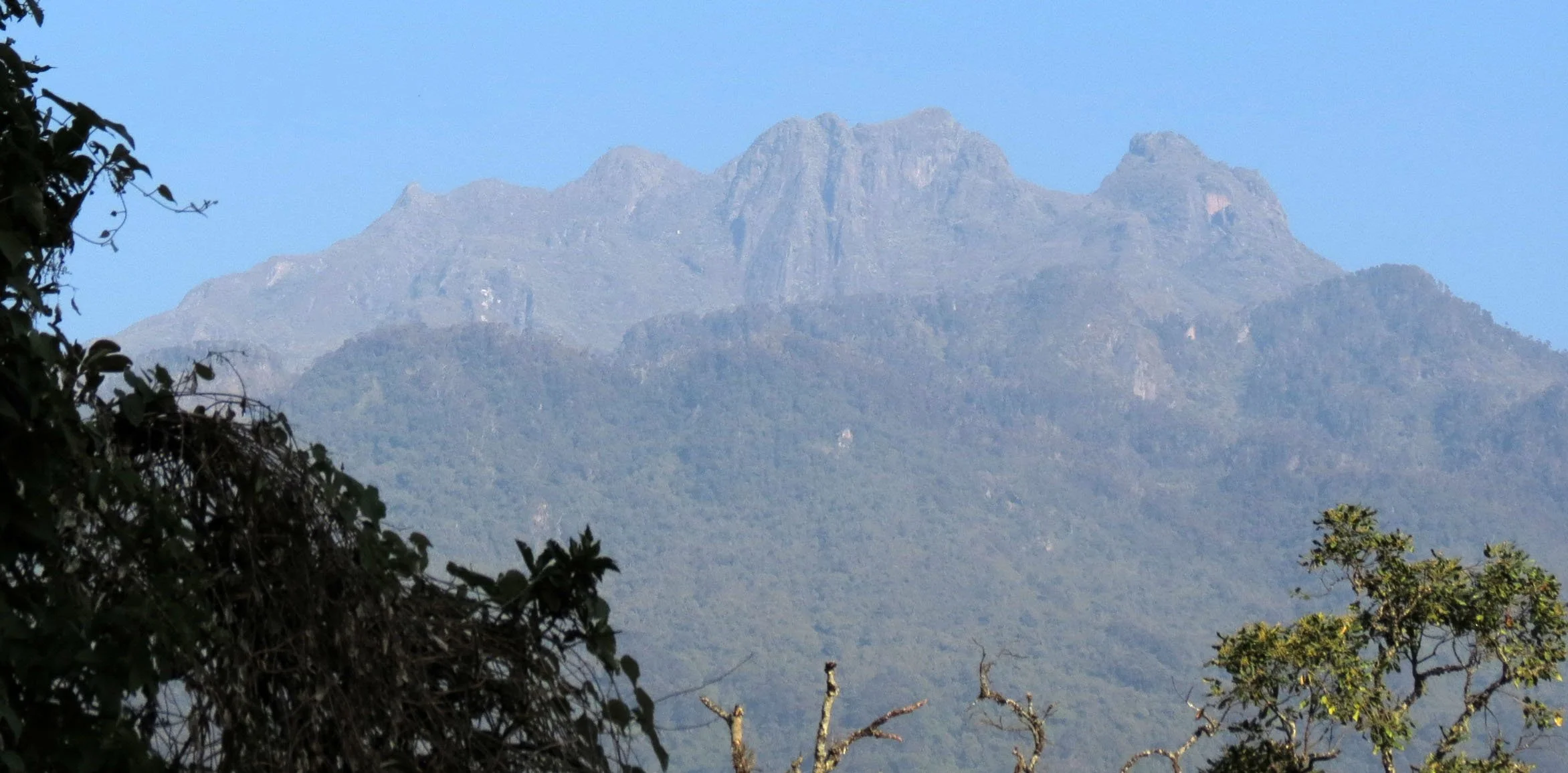 RWENZORI NATIONAL PARK UGANDA (77).JPG