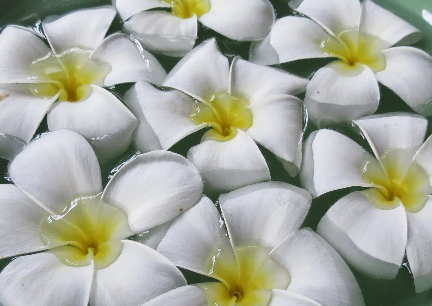 2013 Cha'am and Petchaburi with Family & Friends (153).JPG