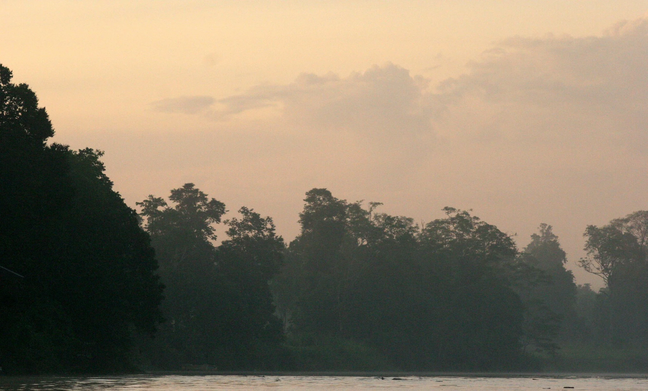 KINABATANGAN RIVER - SUNSET (2).JPG