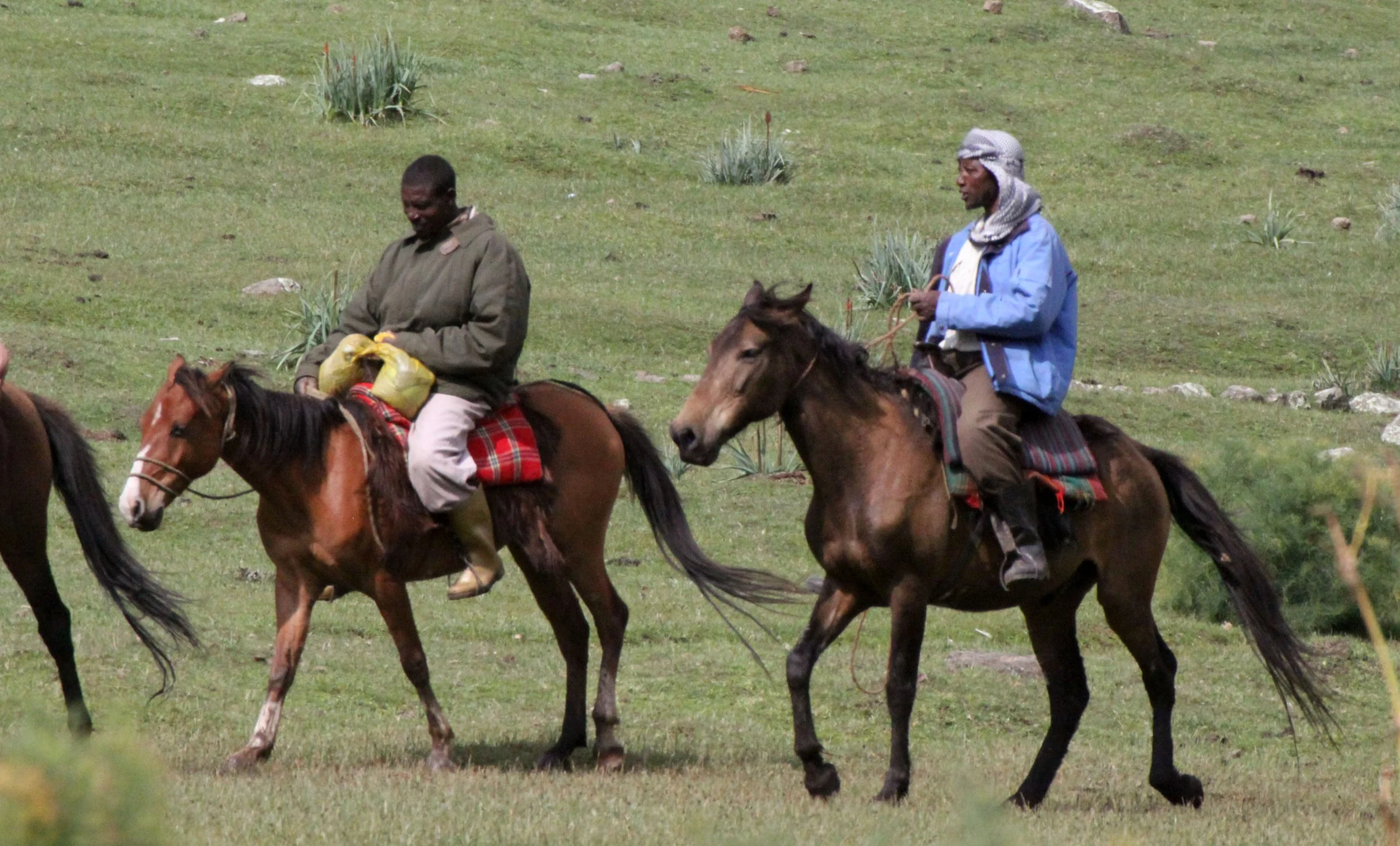 BALE MOUNTAINS NATIONAL PARK ETHIOPIA - GAYSAY GRASSLANDS (8).JPG
