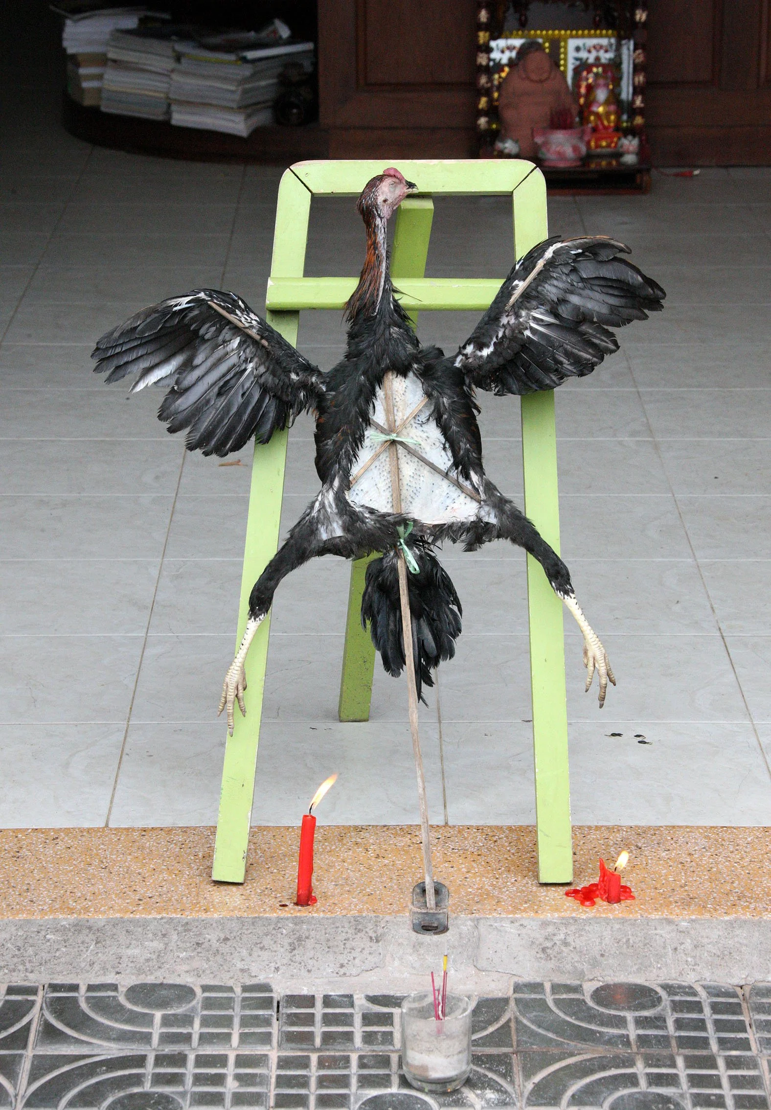 SIEM REAP CAMBODIA.JPG