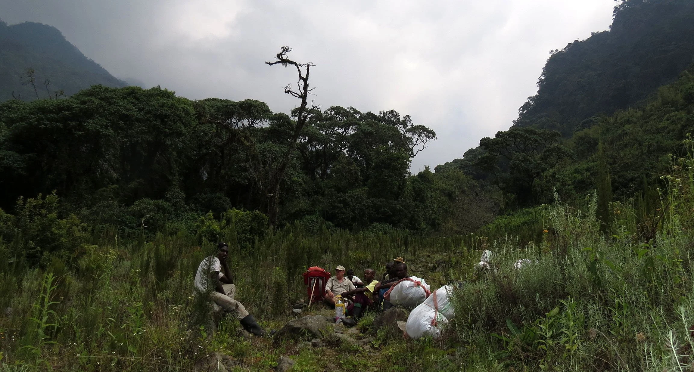 RWENZORI NATIONAL PARK UGANDA (90).JPG