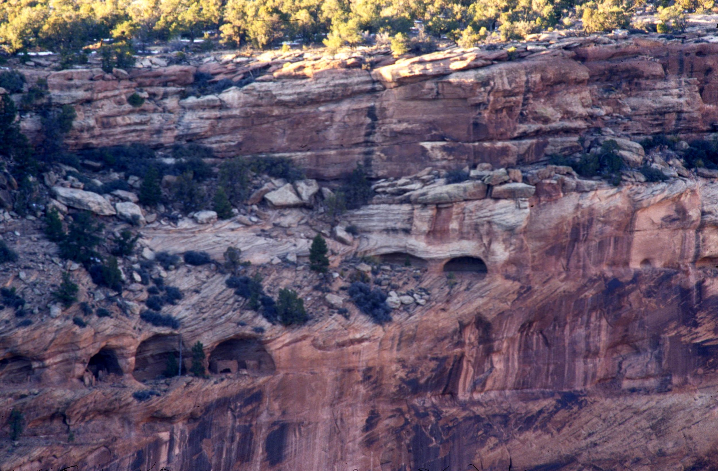 ANASAZILLAND - CANYON DE CHELLY - CLIFFSIDE RUINS.jpg