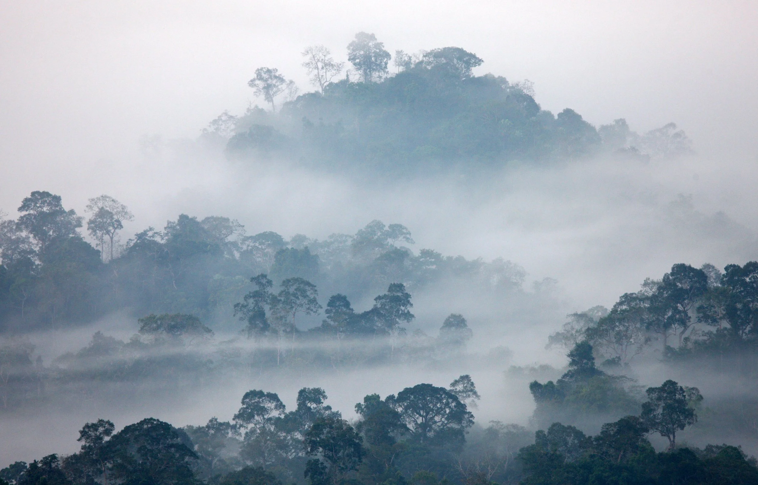 KAENG KRACHAN NATIONAL PARK THAILAND - THALE MOG (22).JPG