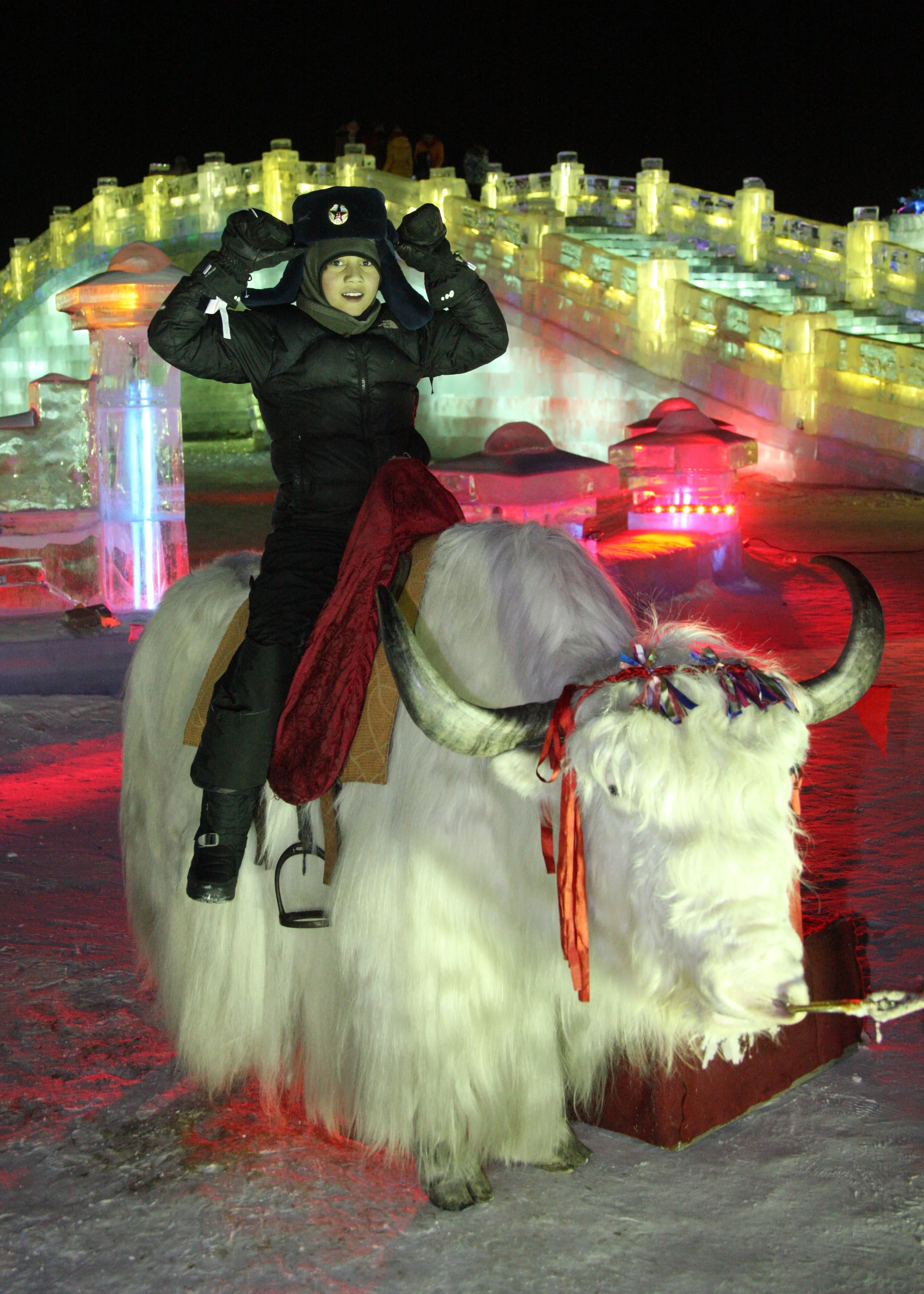 HARBIN ICE & SNOW FESTIVAL FEBRUARY 2012 (89).JPG