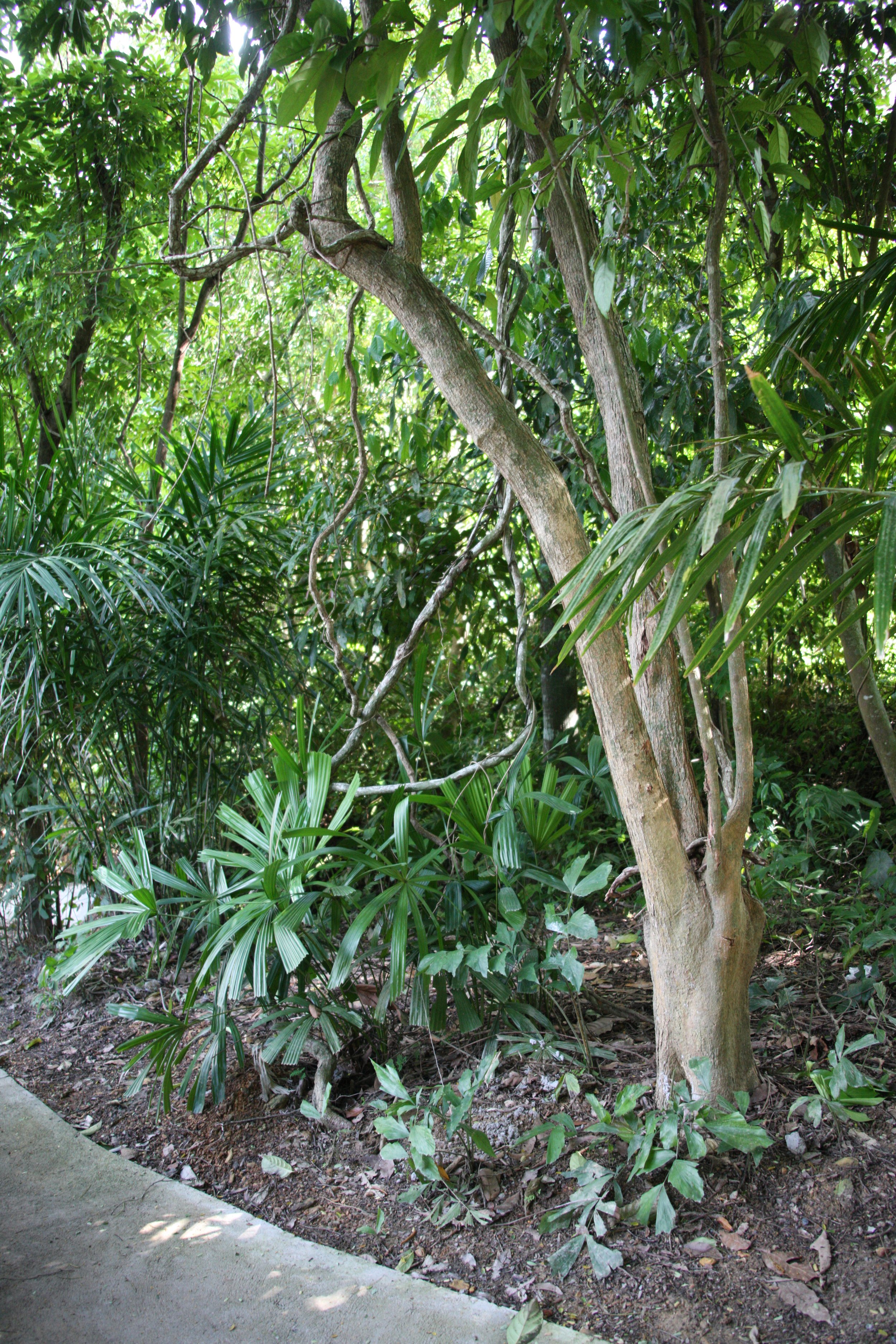 2016 Koh Lanta Landscapes, House Pictures and Family Fun (612).JPG