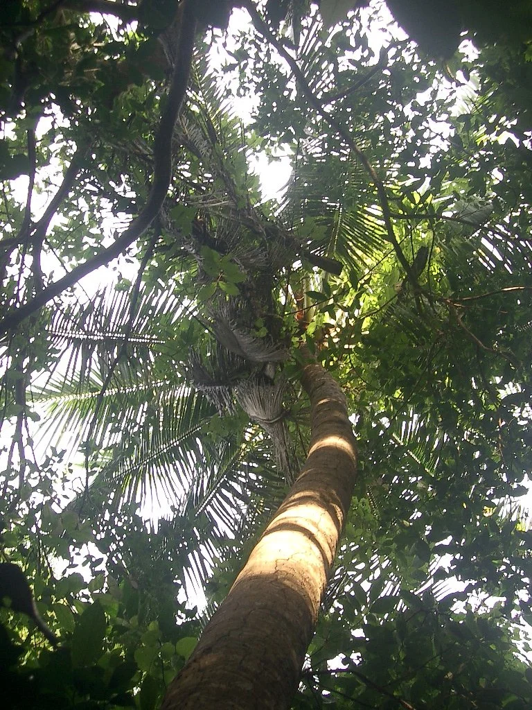 KOH LANTA - PROPERTY - 2004 (64).JPG