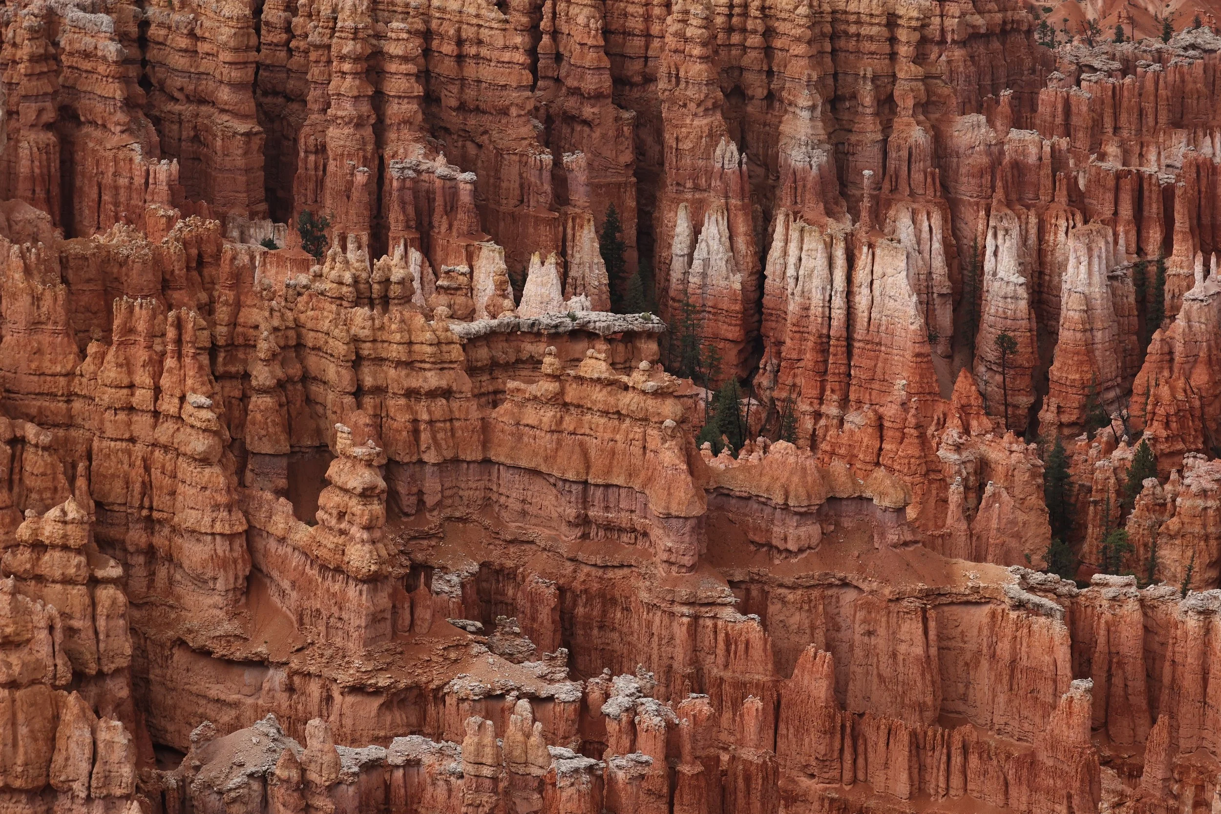 BRYCE CANYON UTAH 2022 (44).JPG
