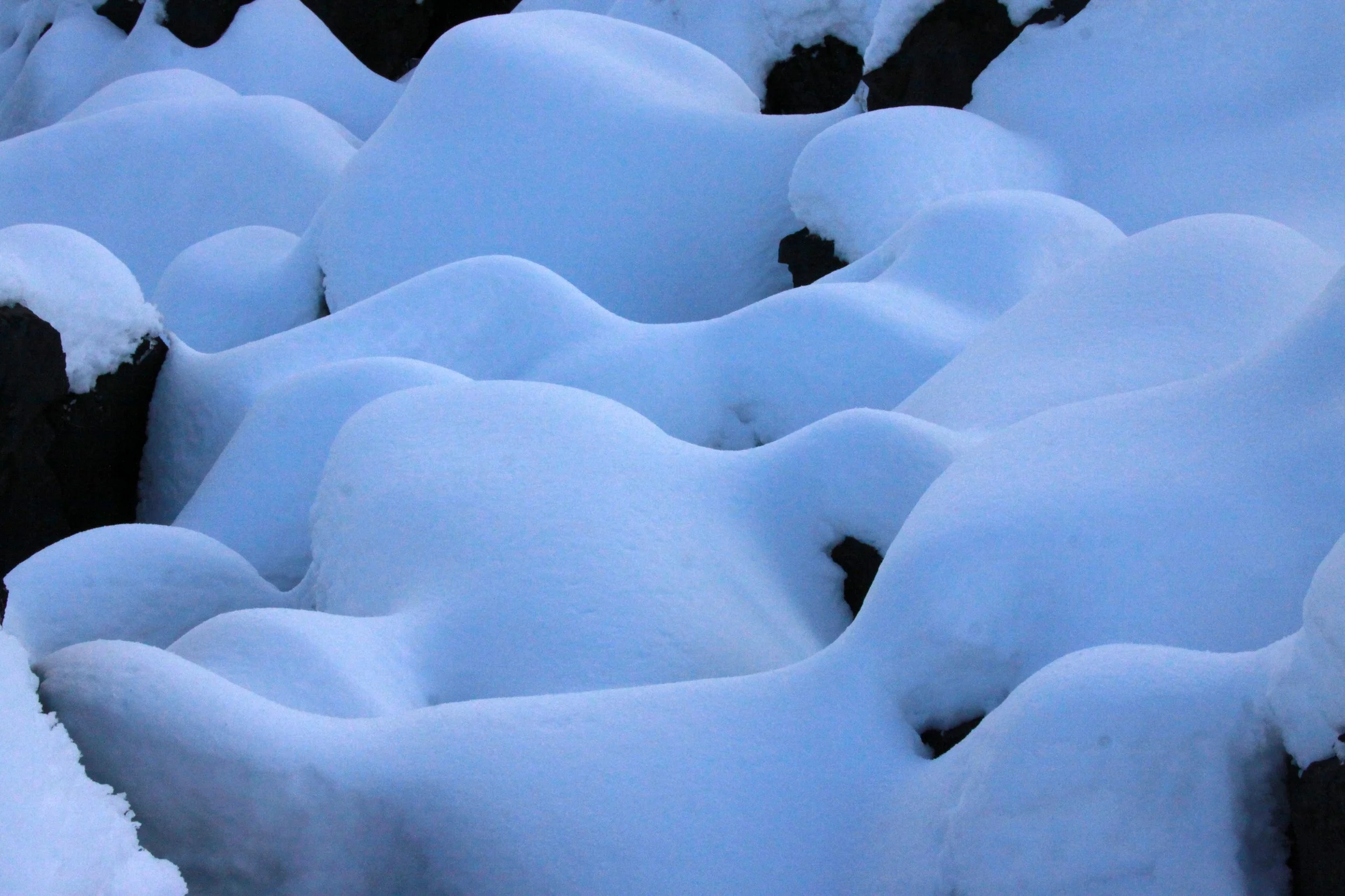 MOUNT ASAMA - JOSHIN'ETSUKOGEN NATIONAL PARK JAPAN (90).JPG