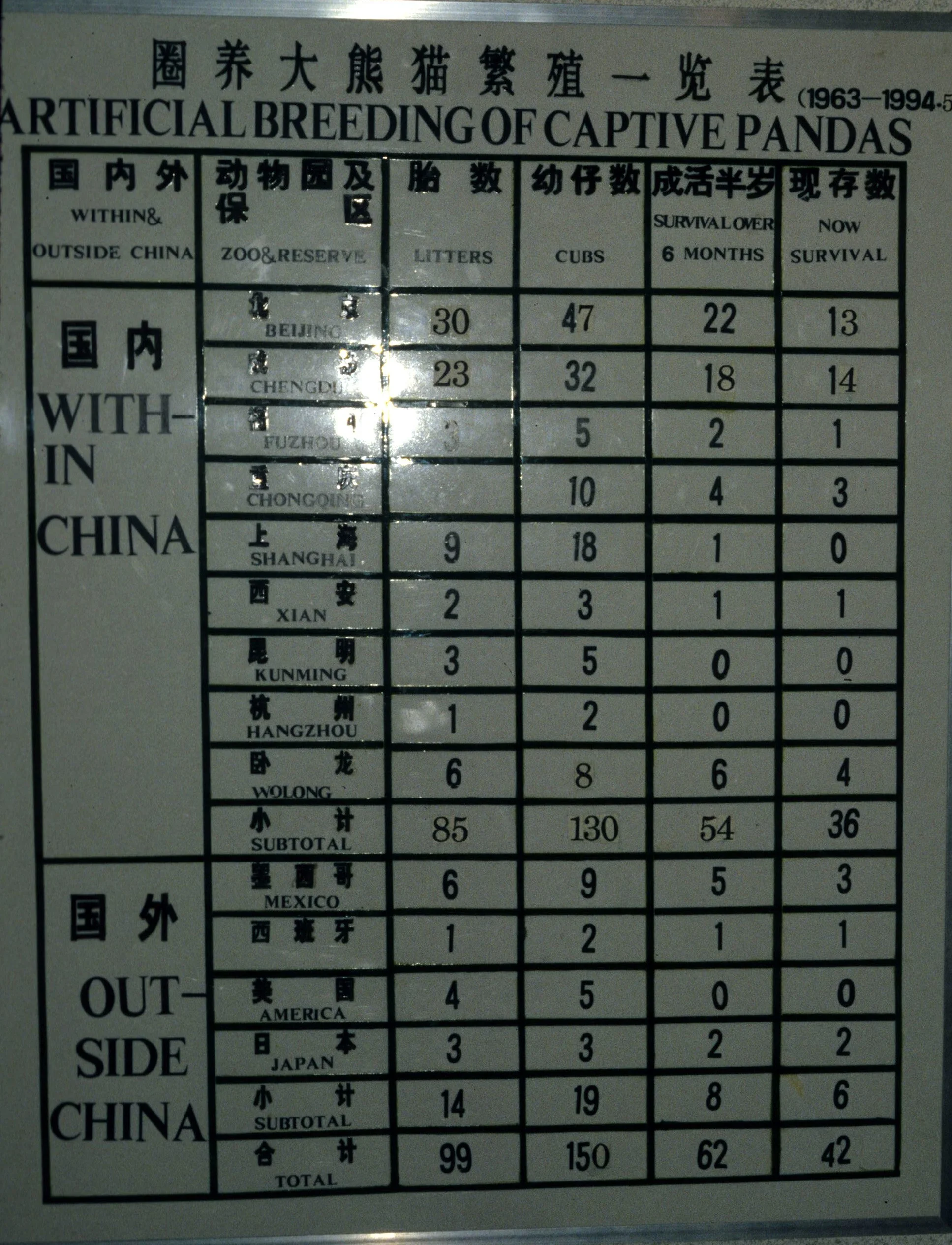 URSID - GIANT PANDA EXHIBIT - CHENGDU CHINA (2).jpg