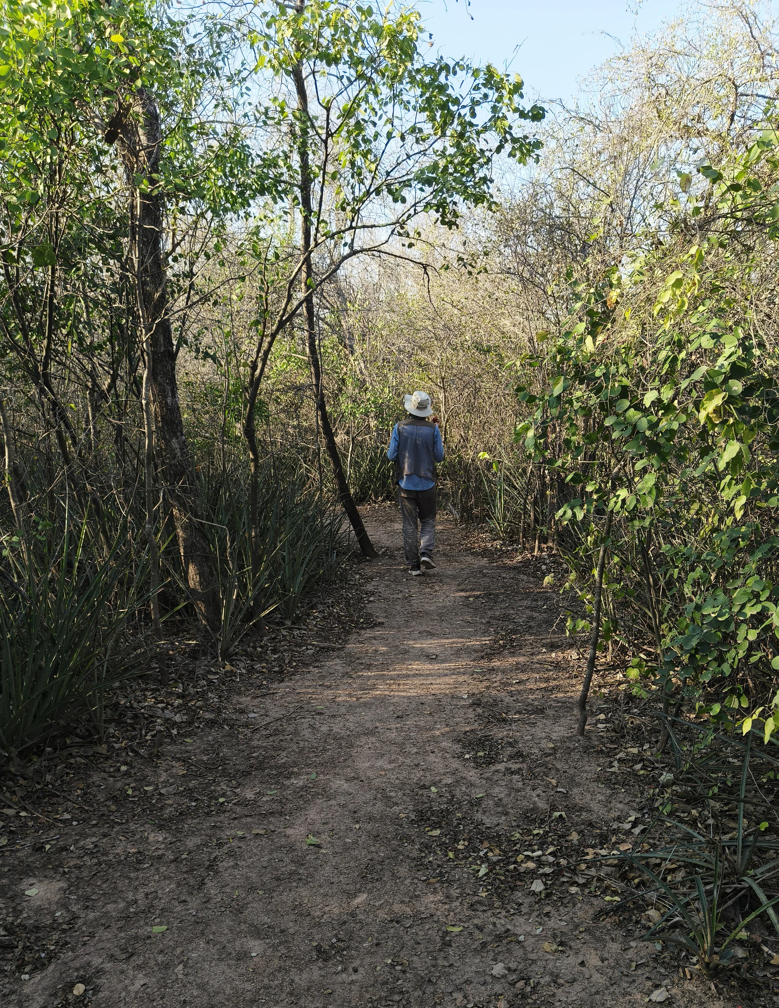 Agua Dulce nature trail
