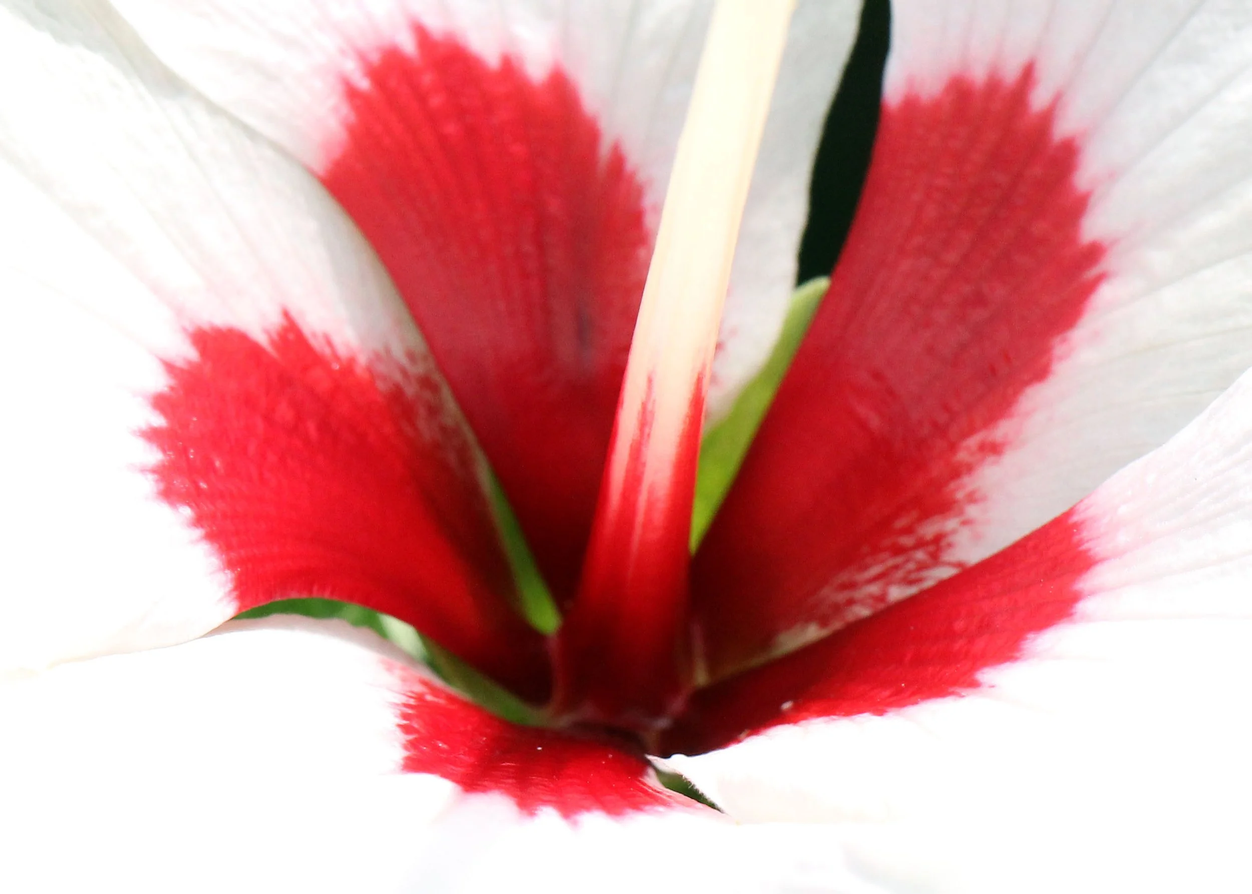 2015 Koh Lanta October Break Trip  (102).JPG