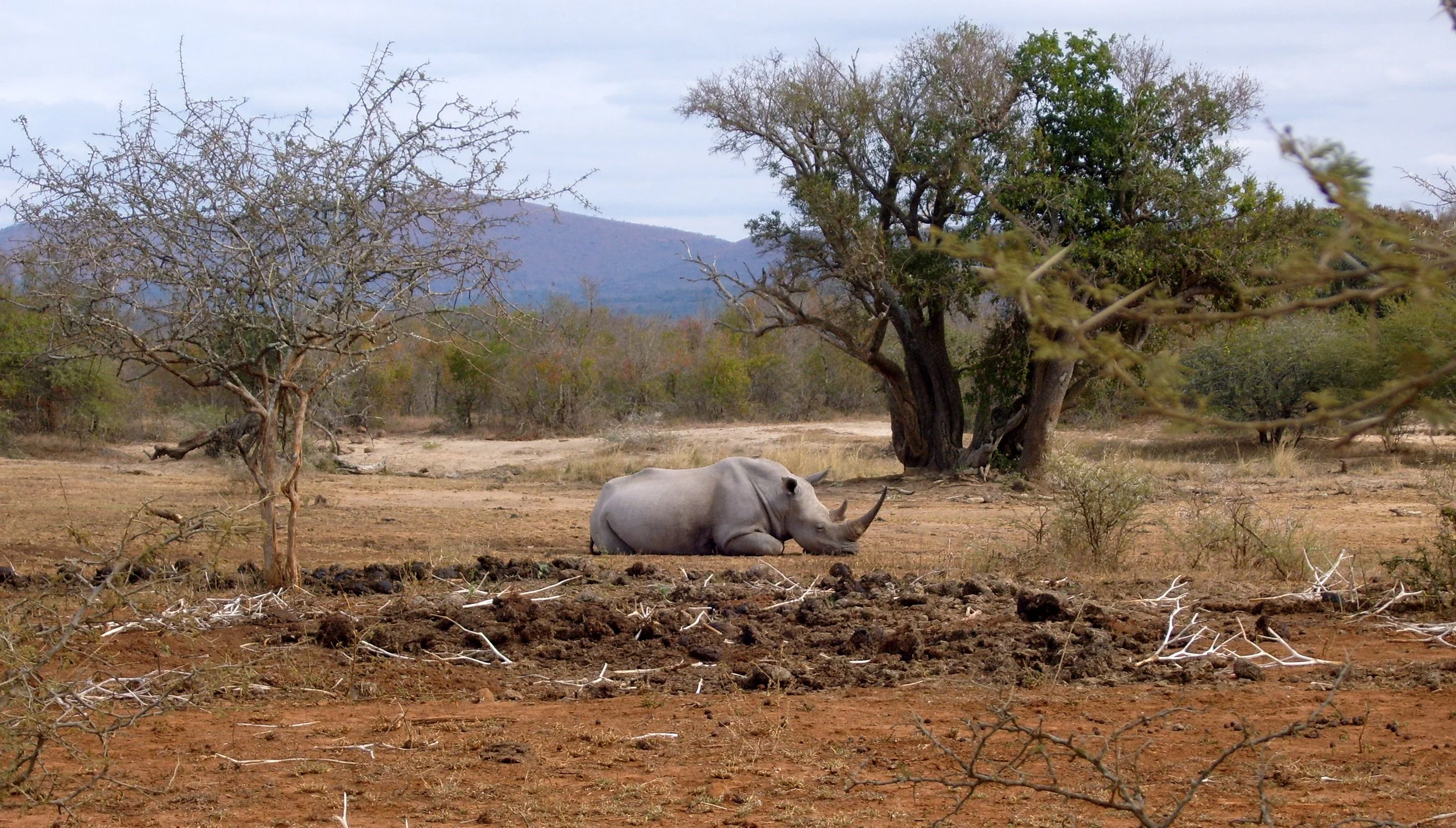 2009-6-18 COKIE'S IMAGES - MADAGASCAR AND AFRICA (16).JPG
